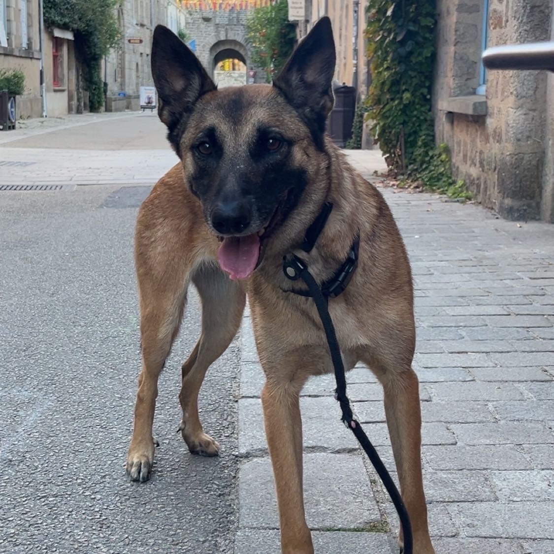 Telma