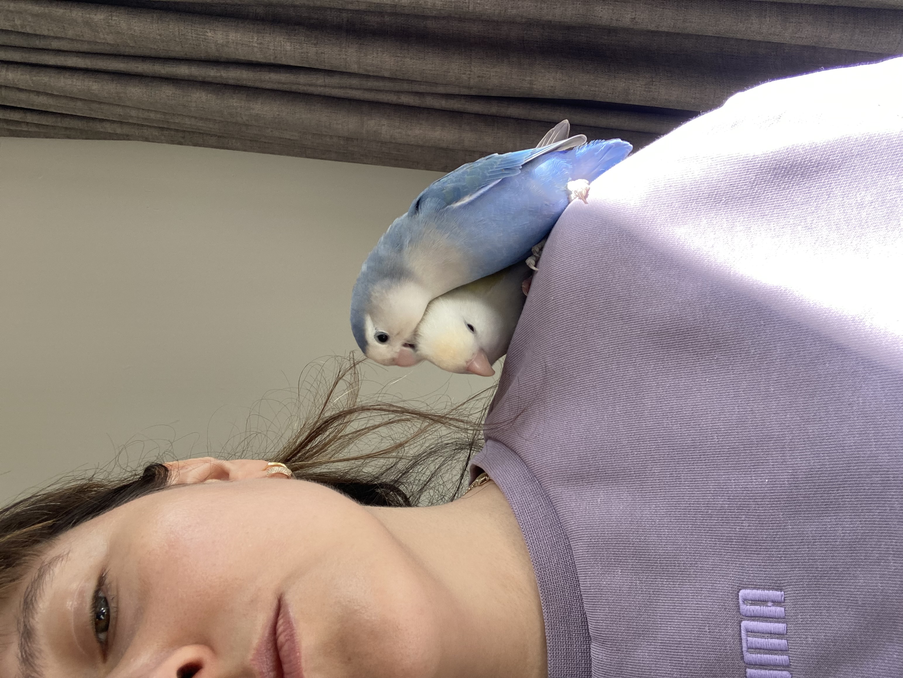 image-7