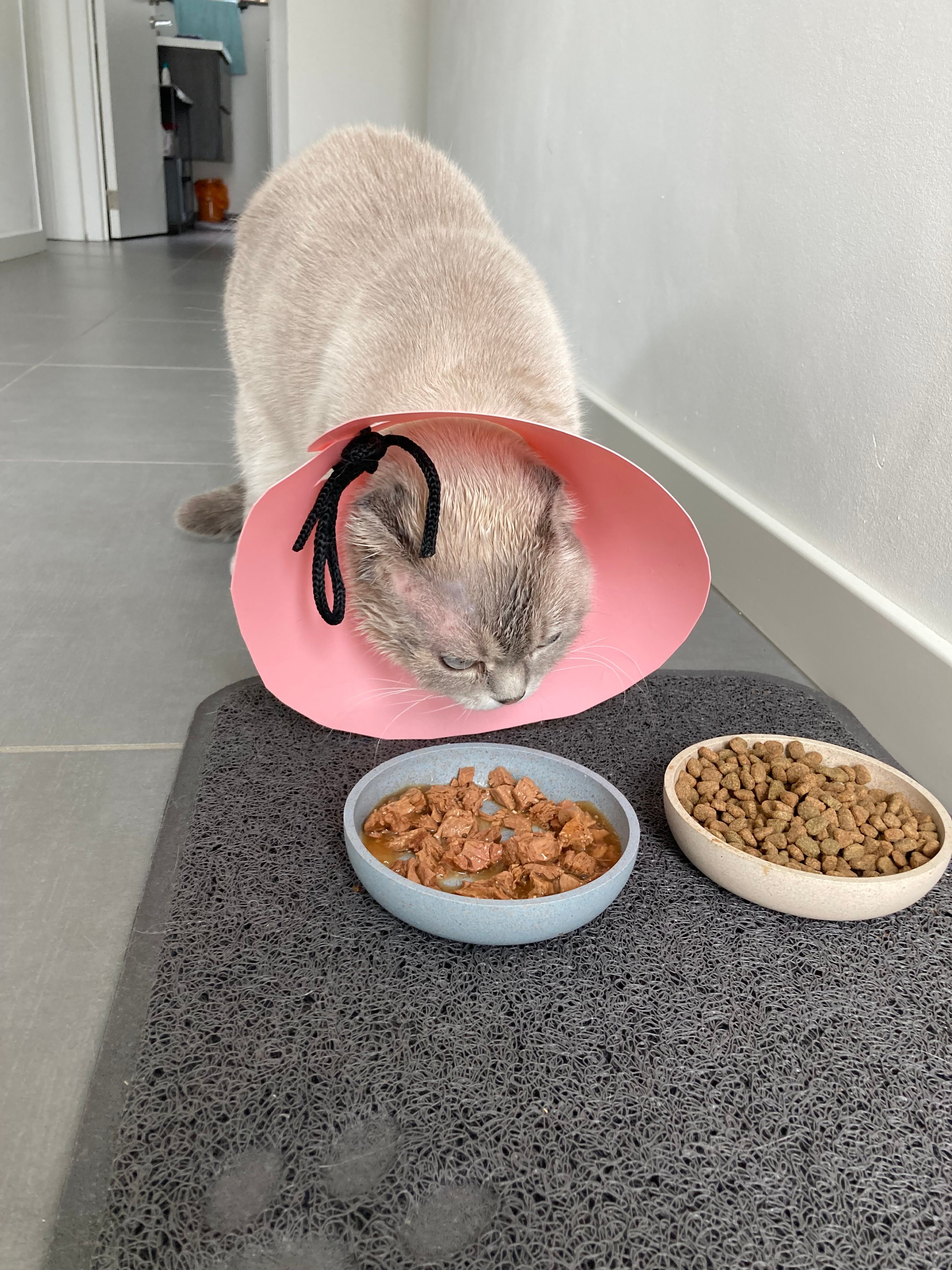 image-17
