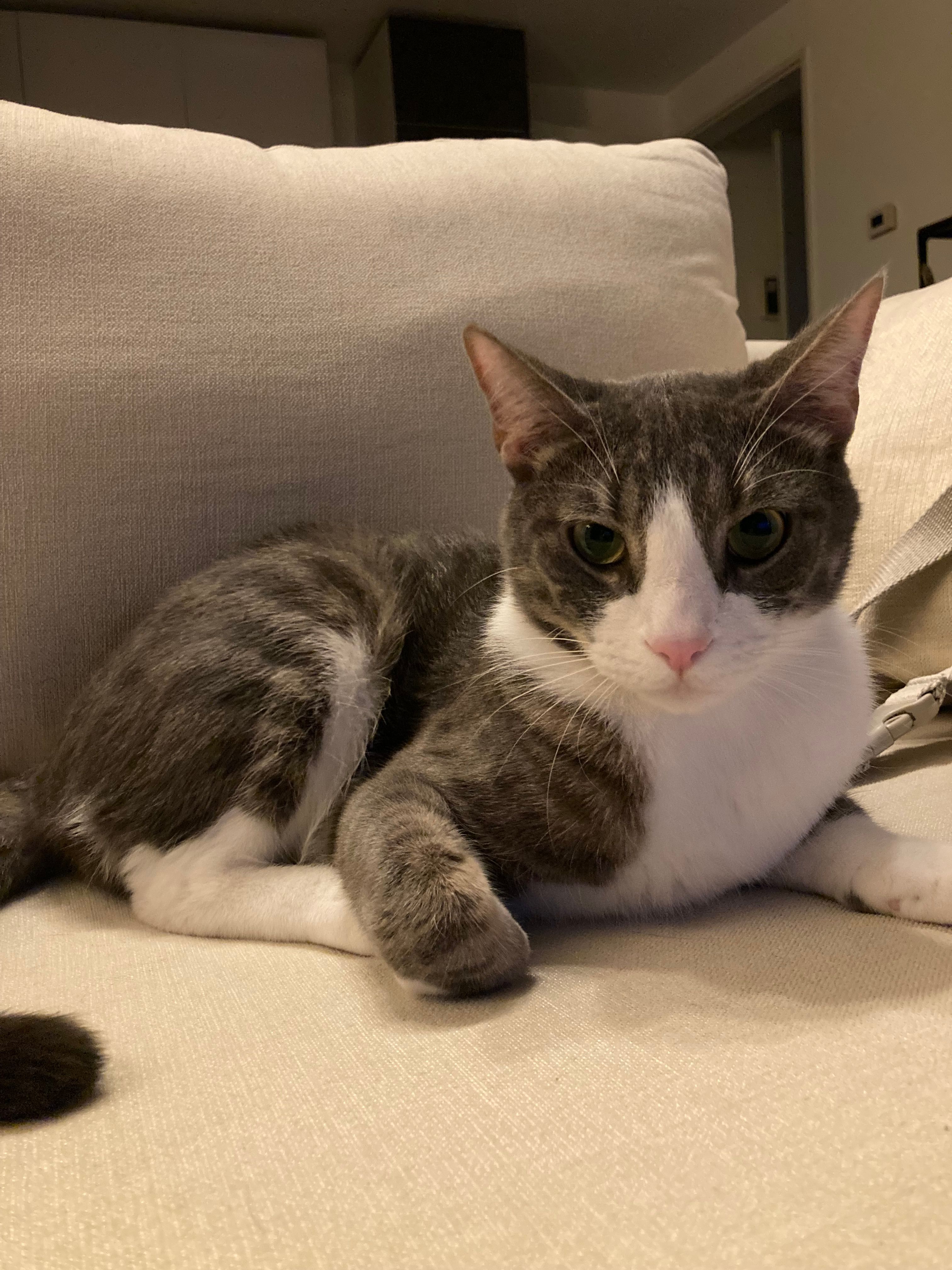 image-11