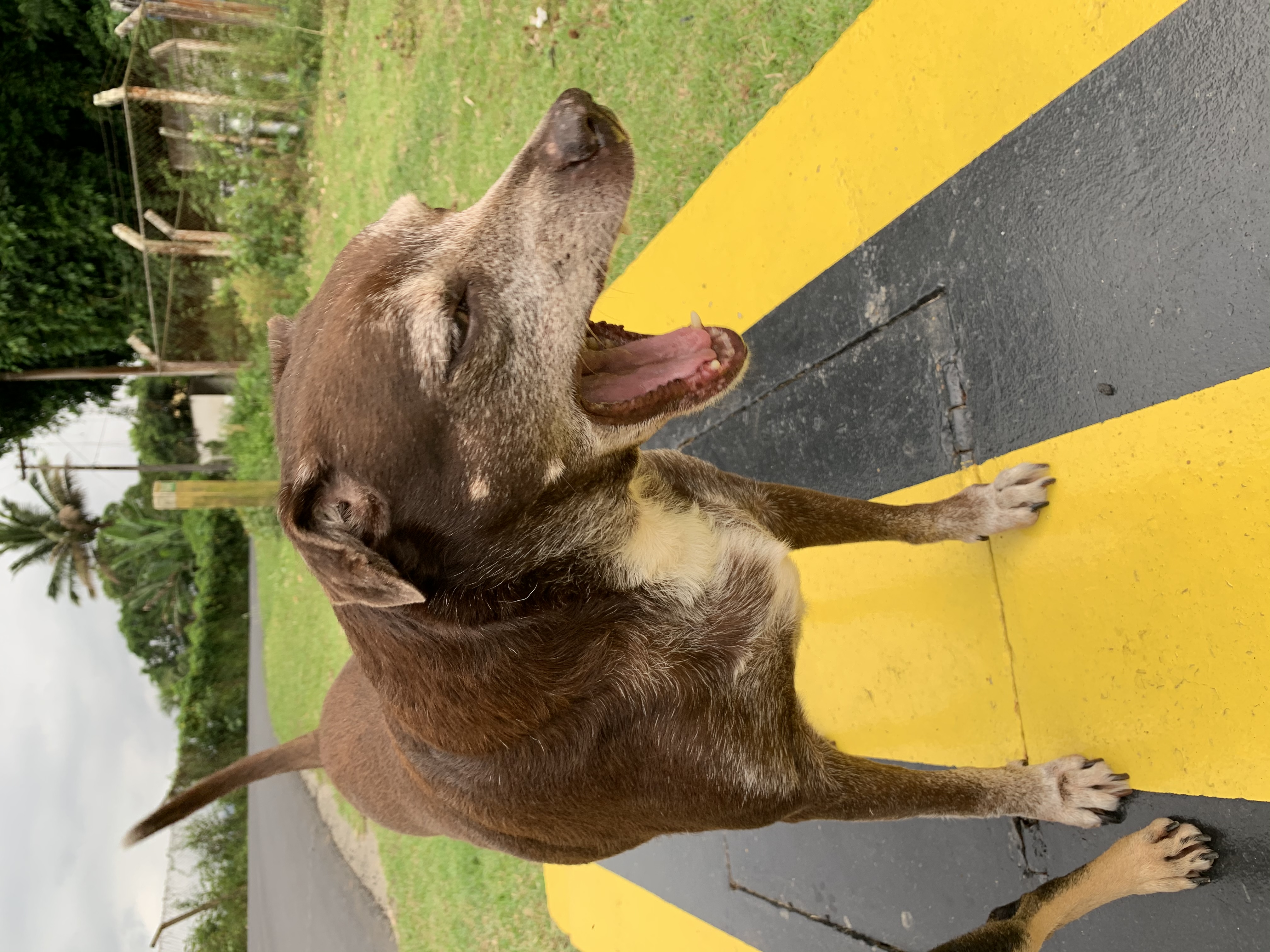 image-6
