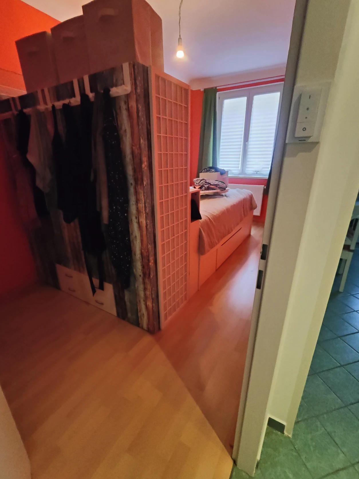 image-7