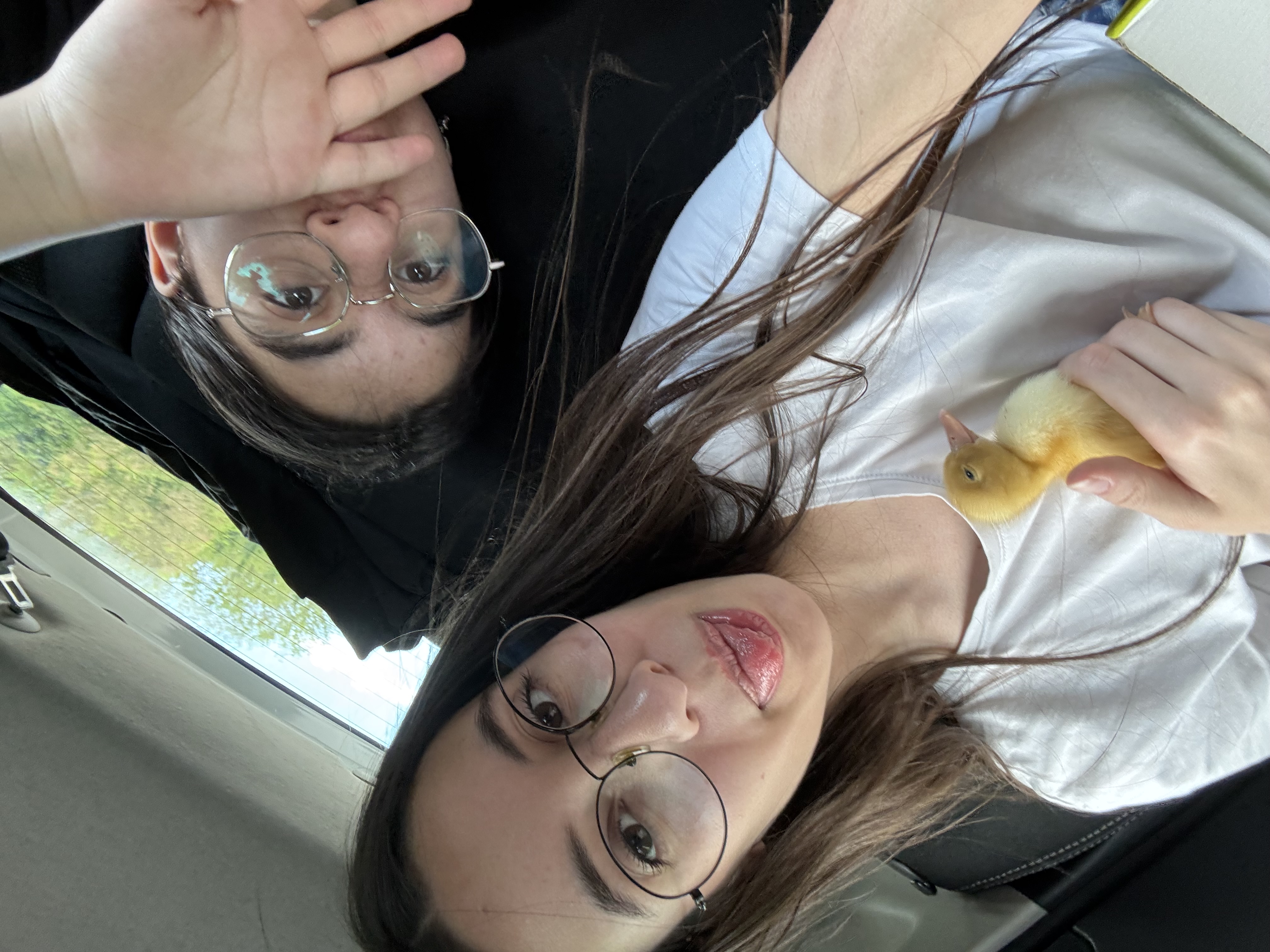 image-7