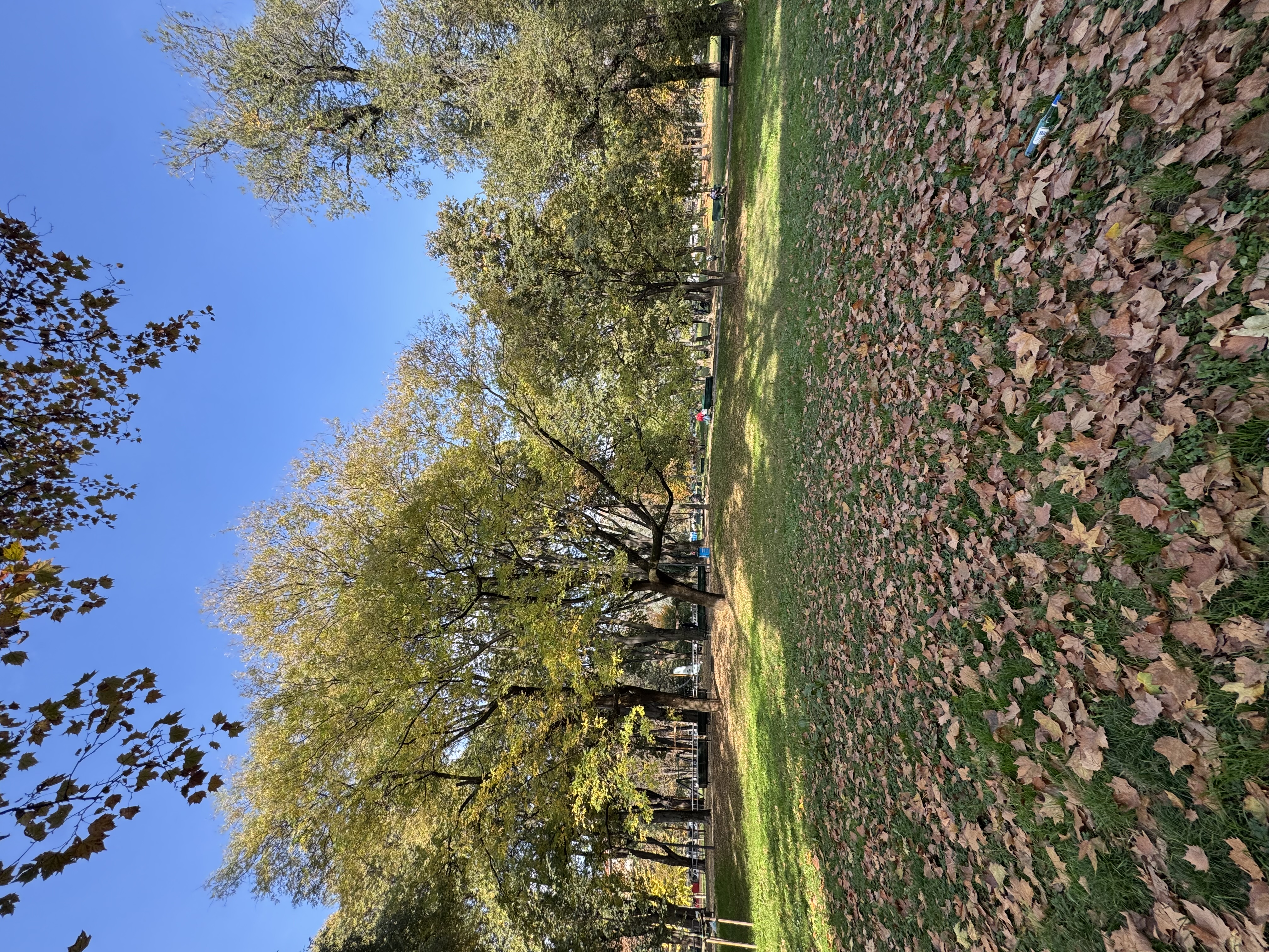 image-20