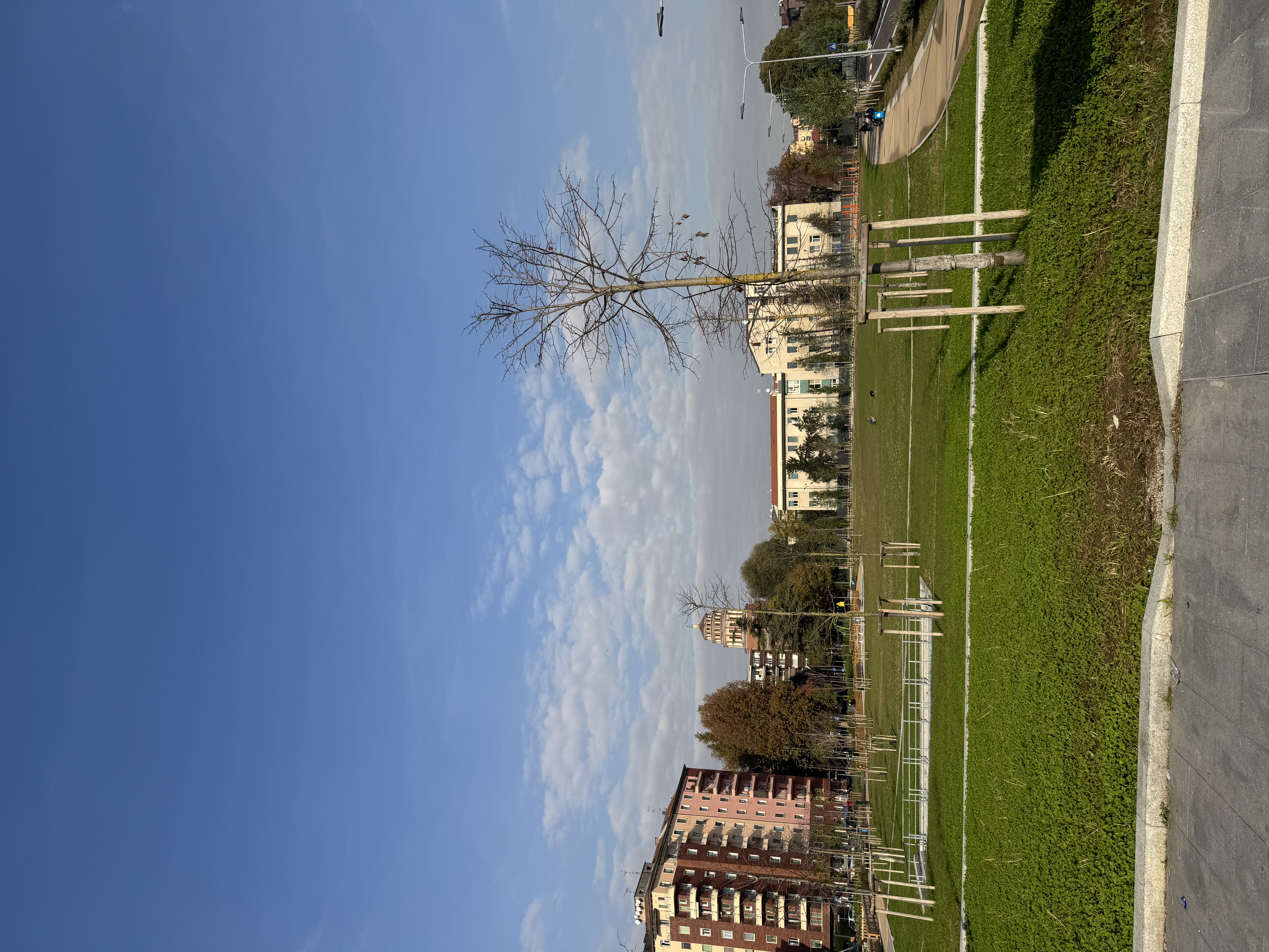 image-14