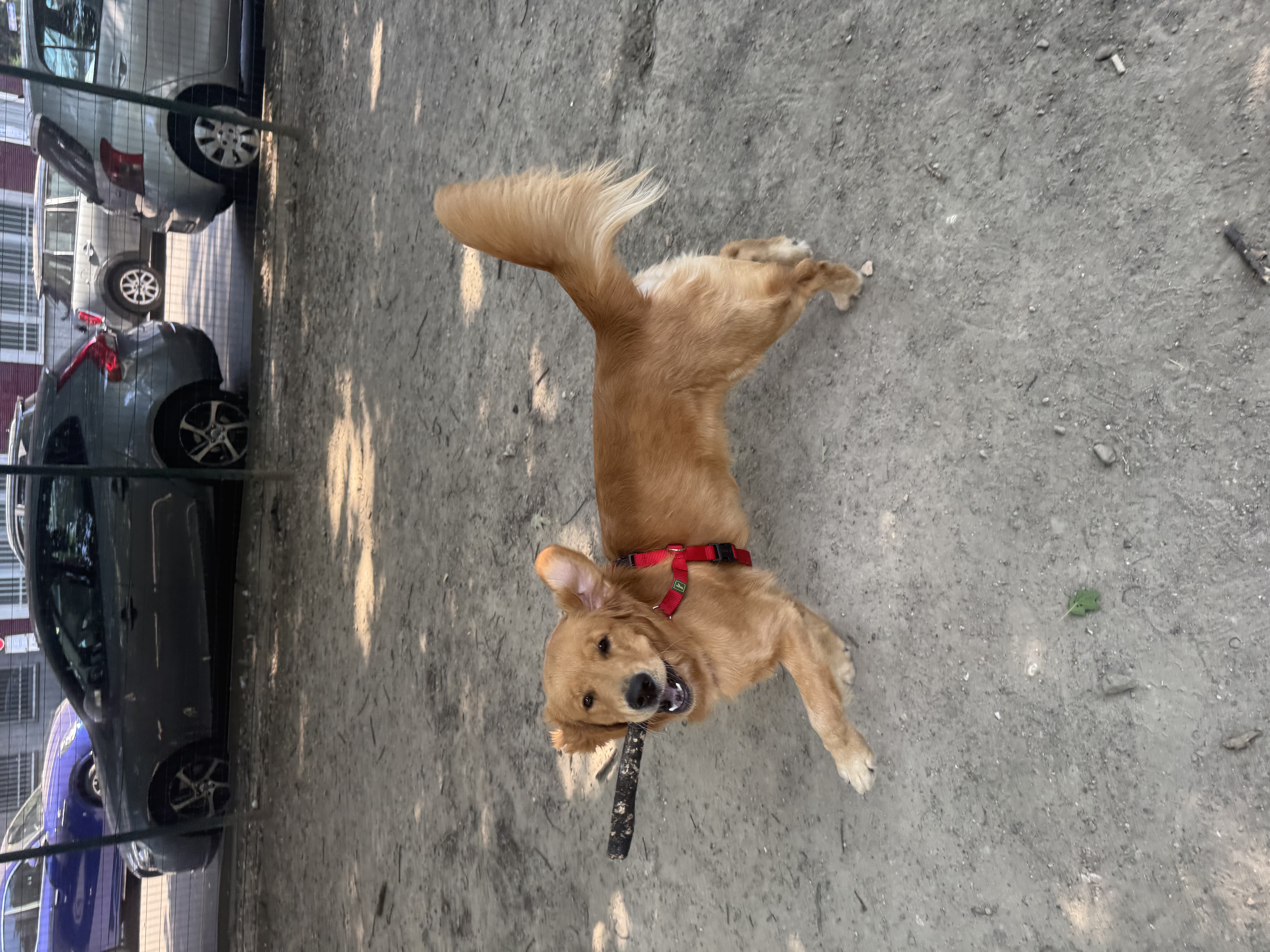 image-4