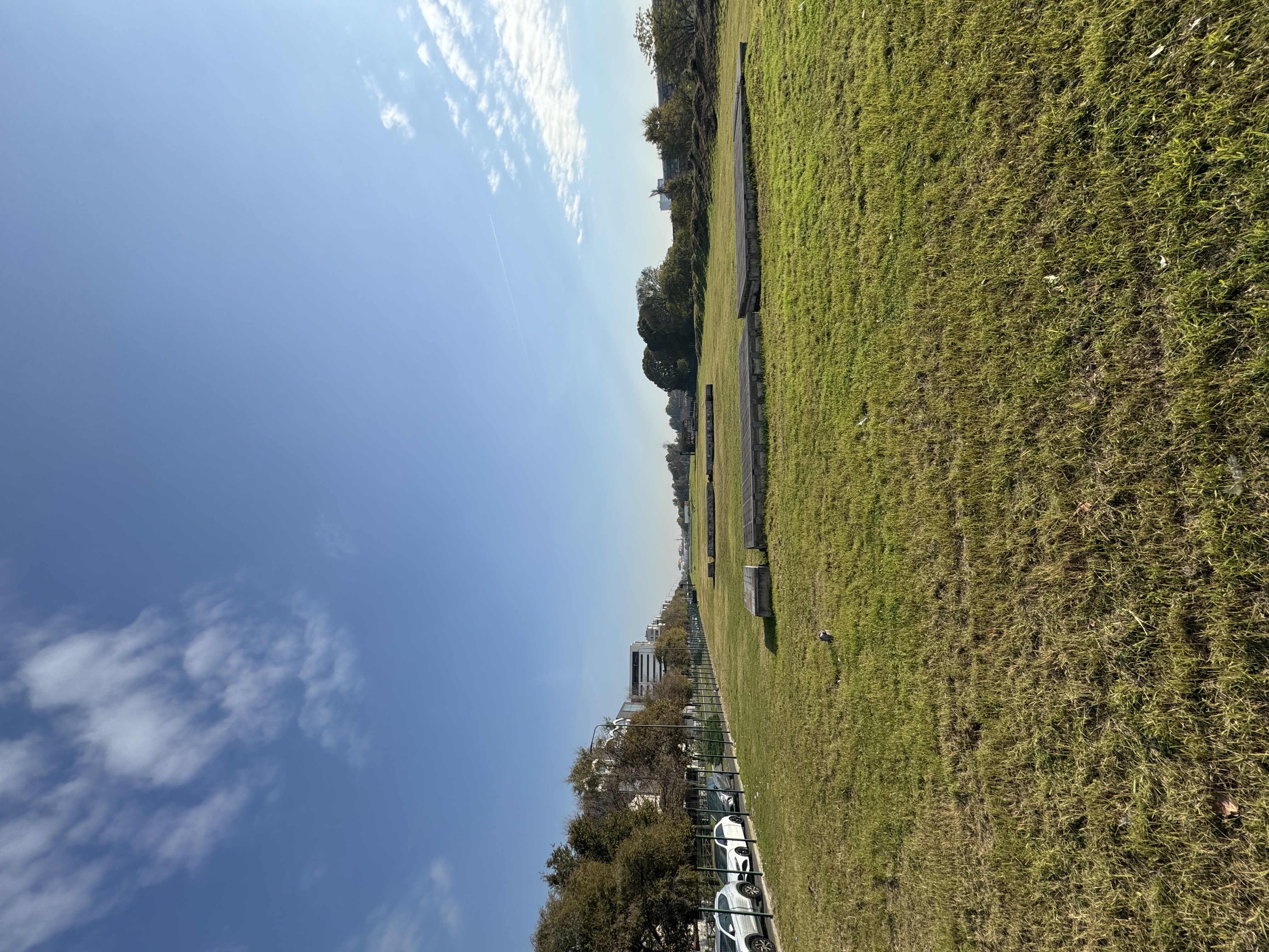 image-19
