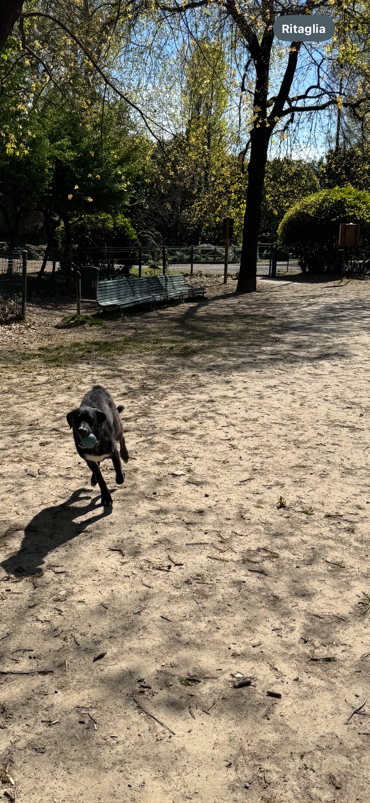 image-11