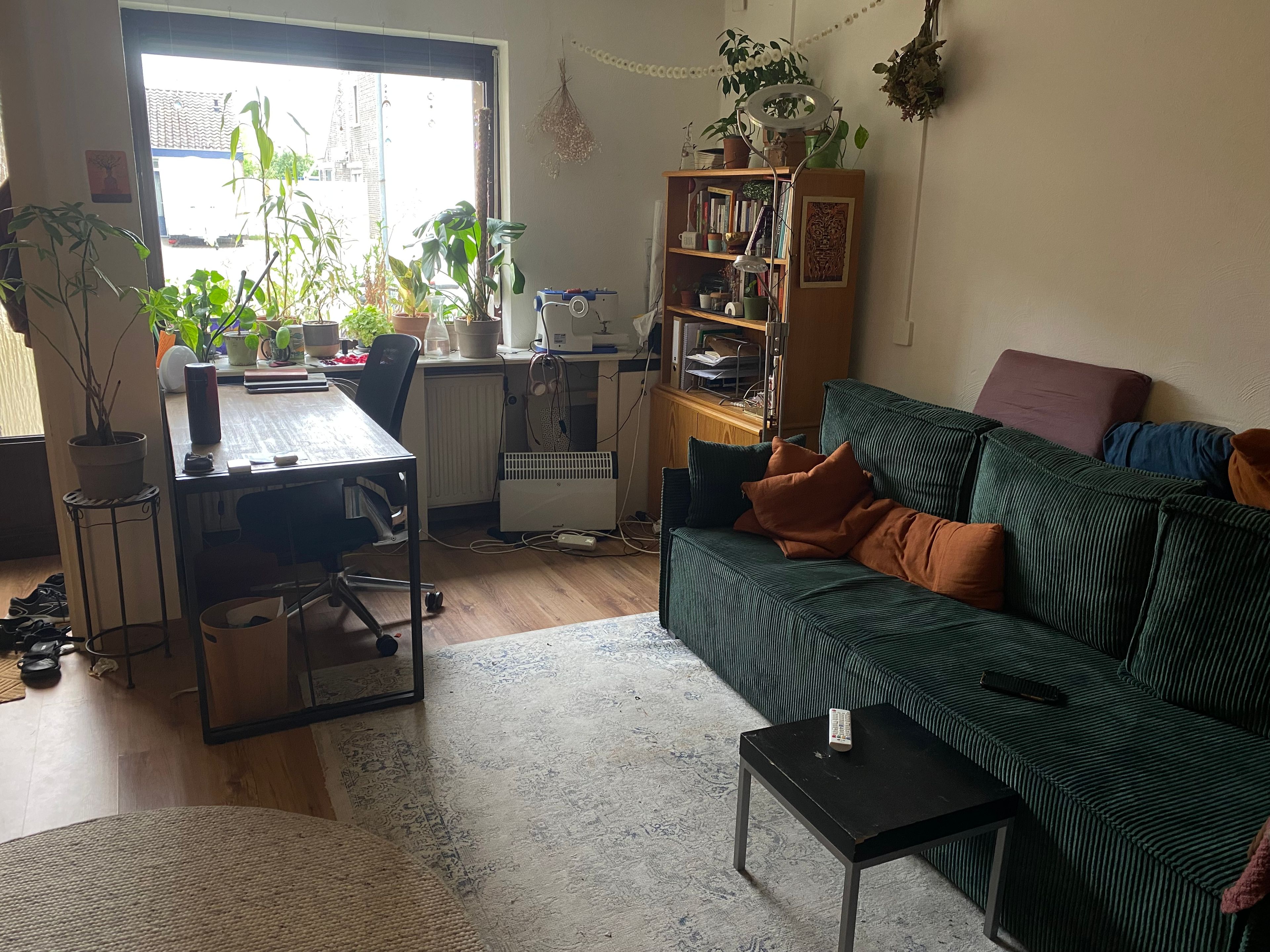 image-12