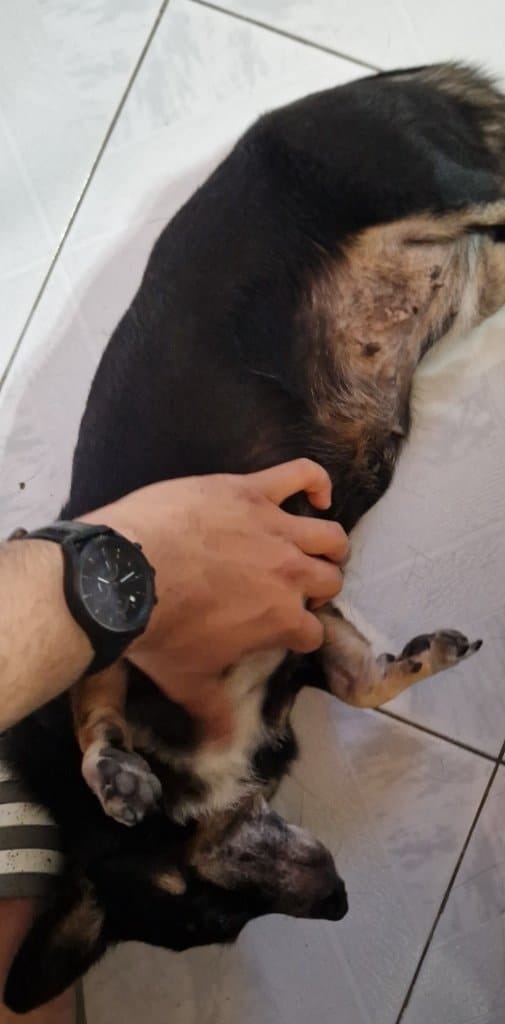 image-5