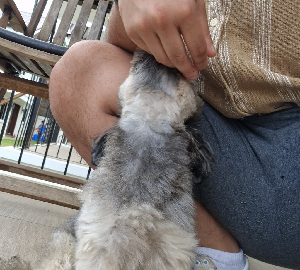 image-8