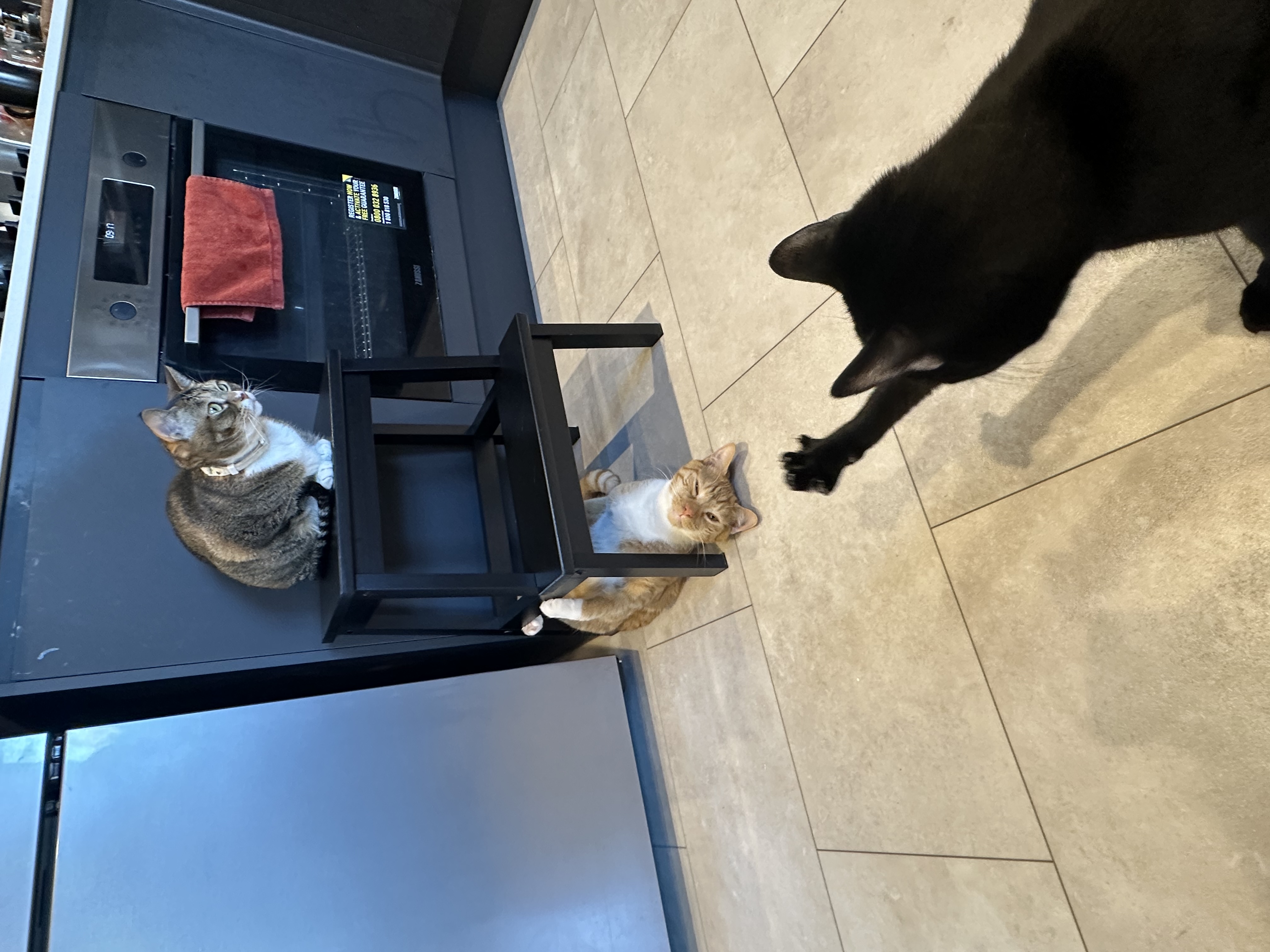 image-7