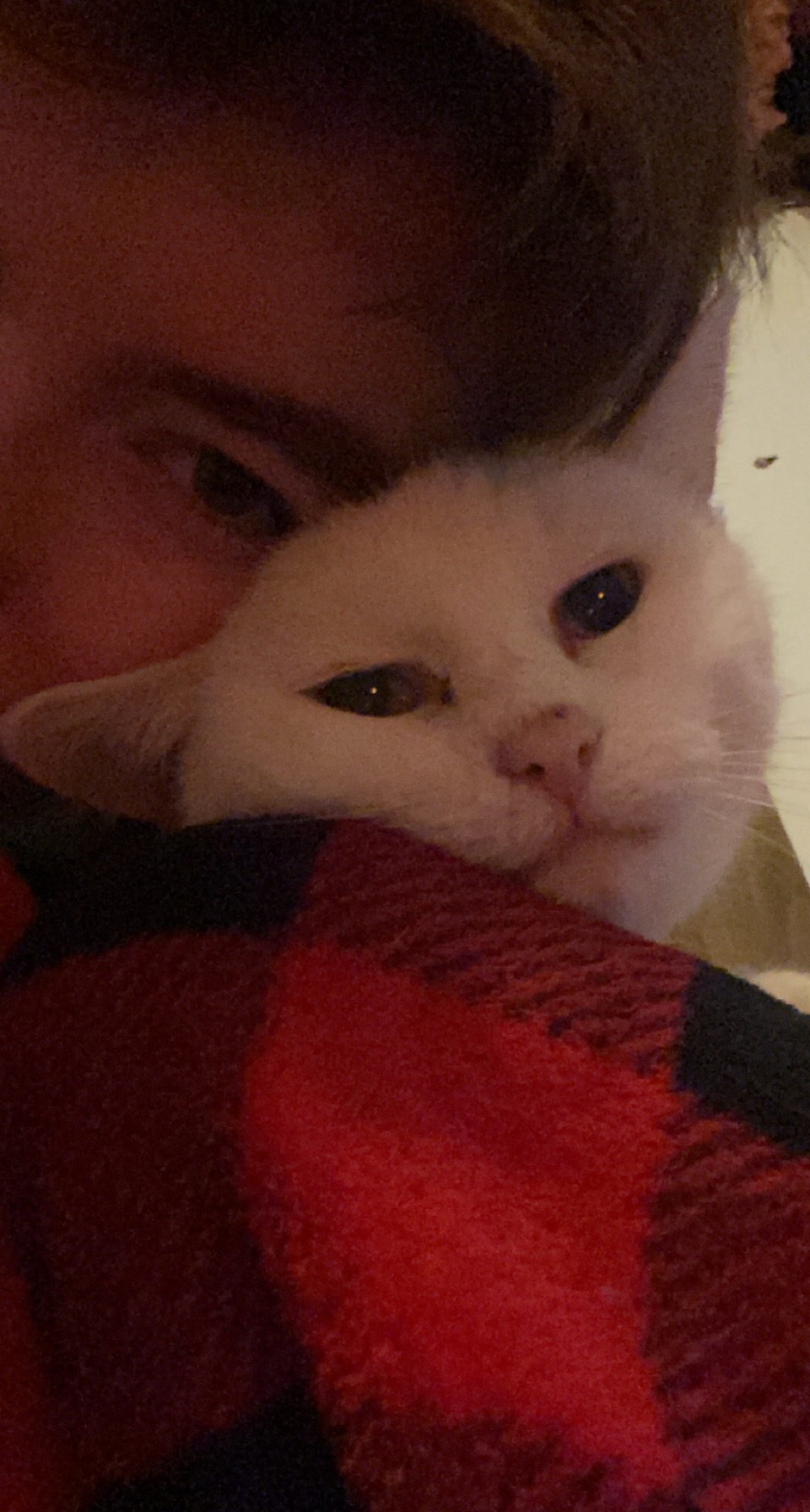 image-8
