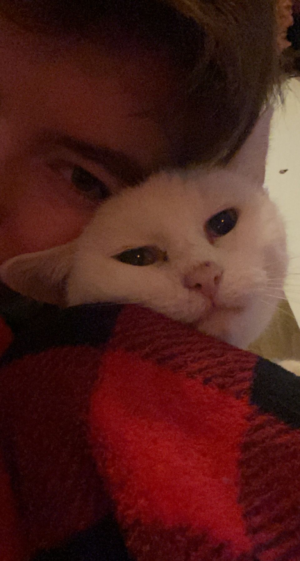image-8