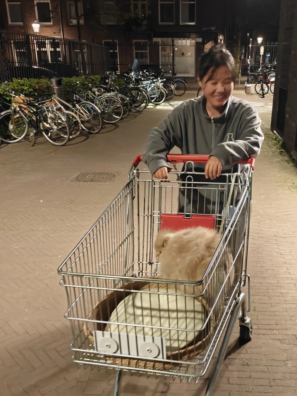 image-9