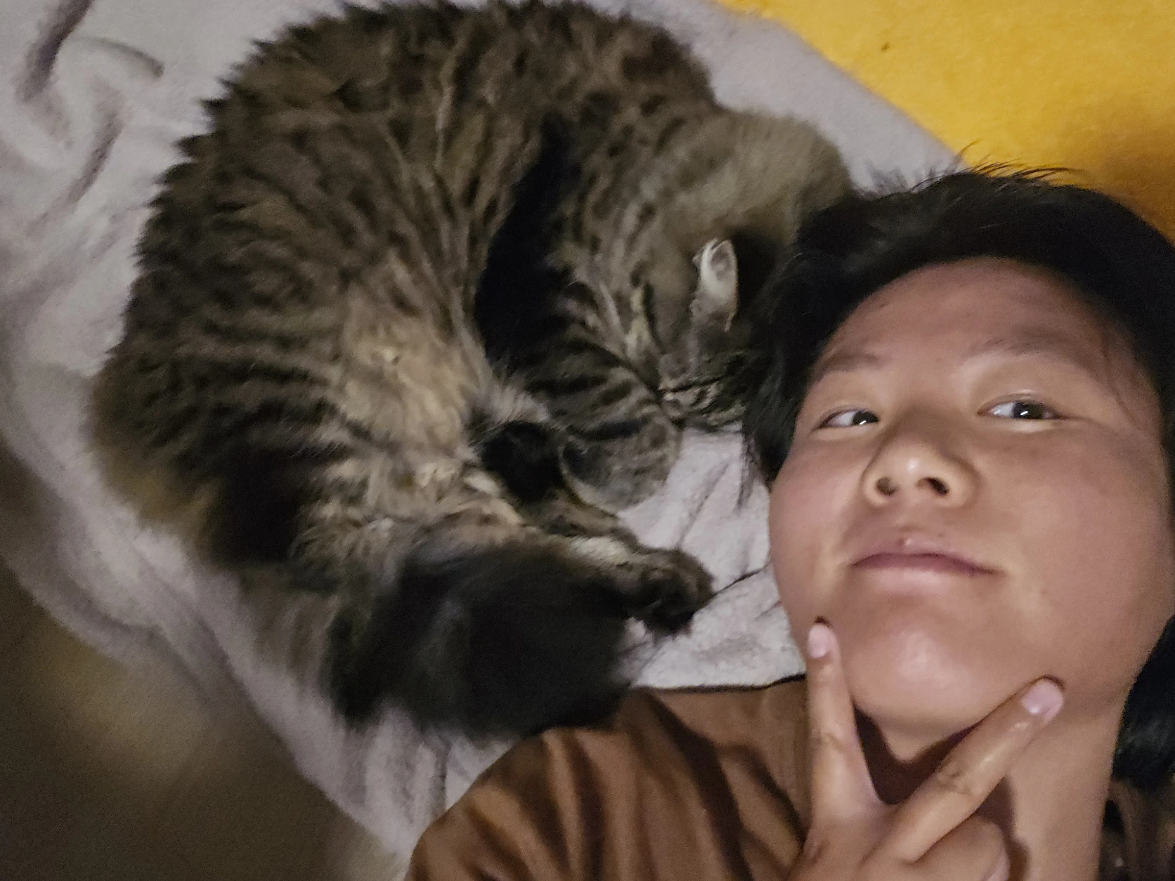 image-8