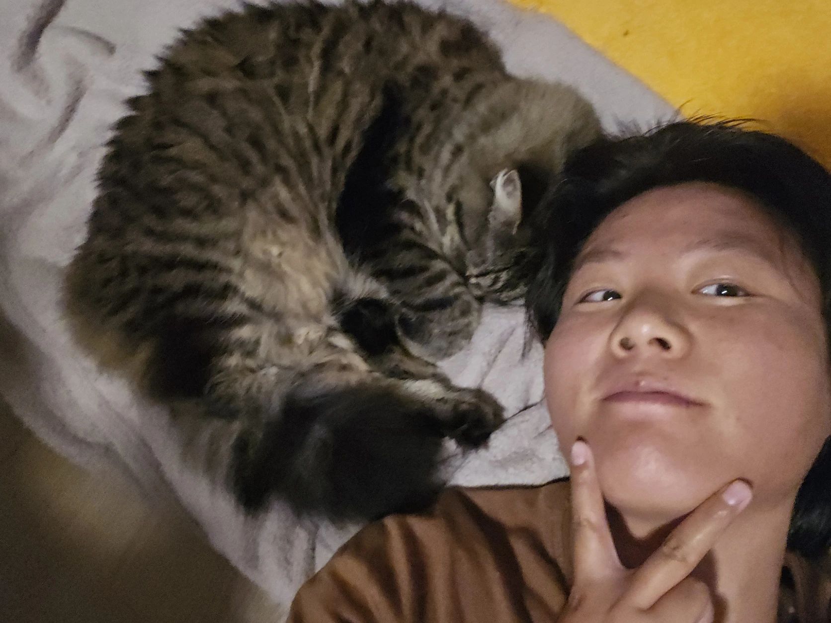 image-8
