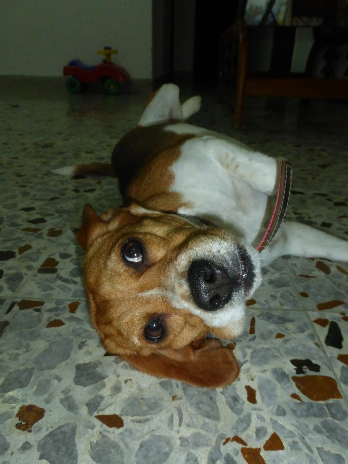 image-6