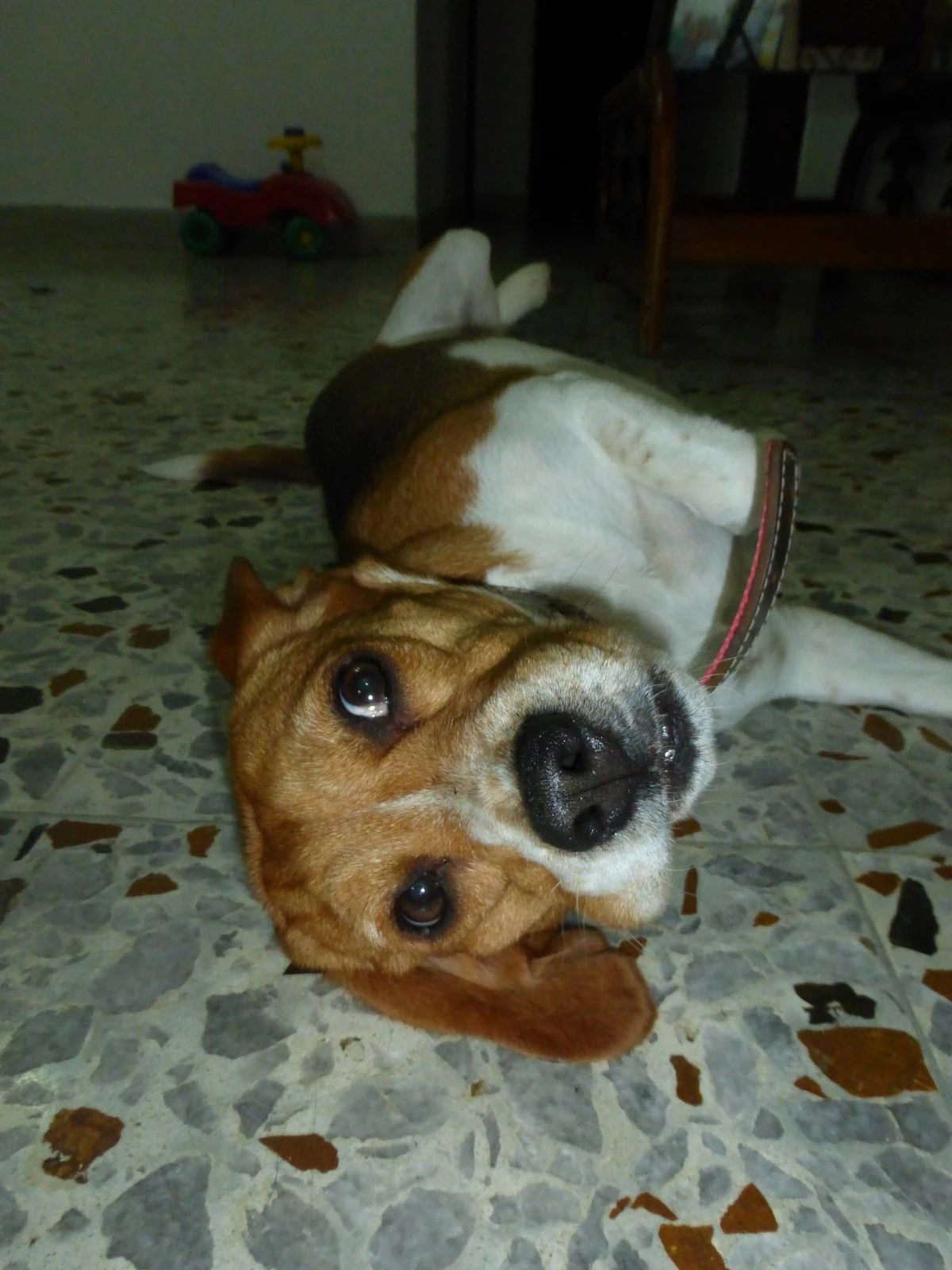 image-6