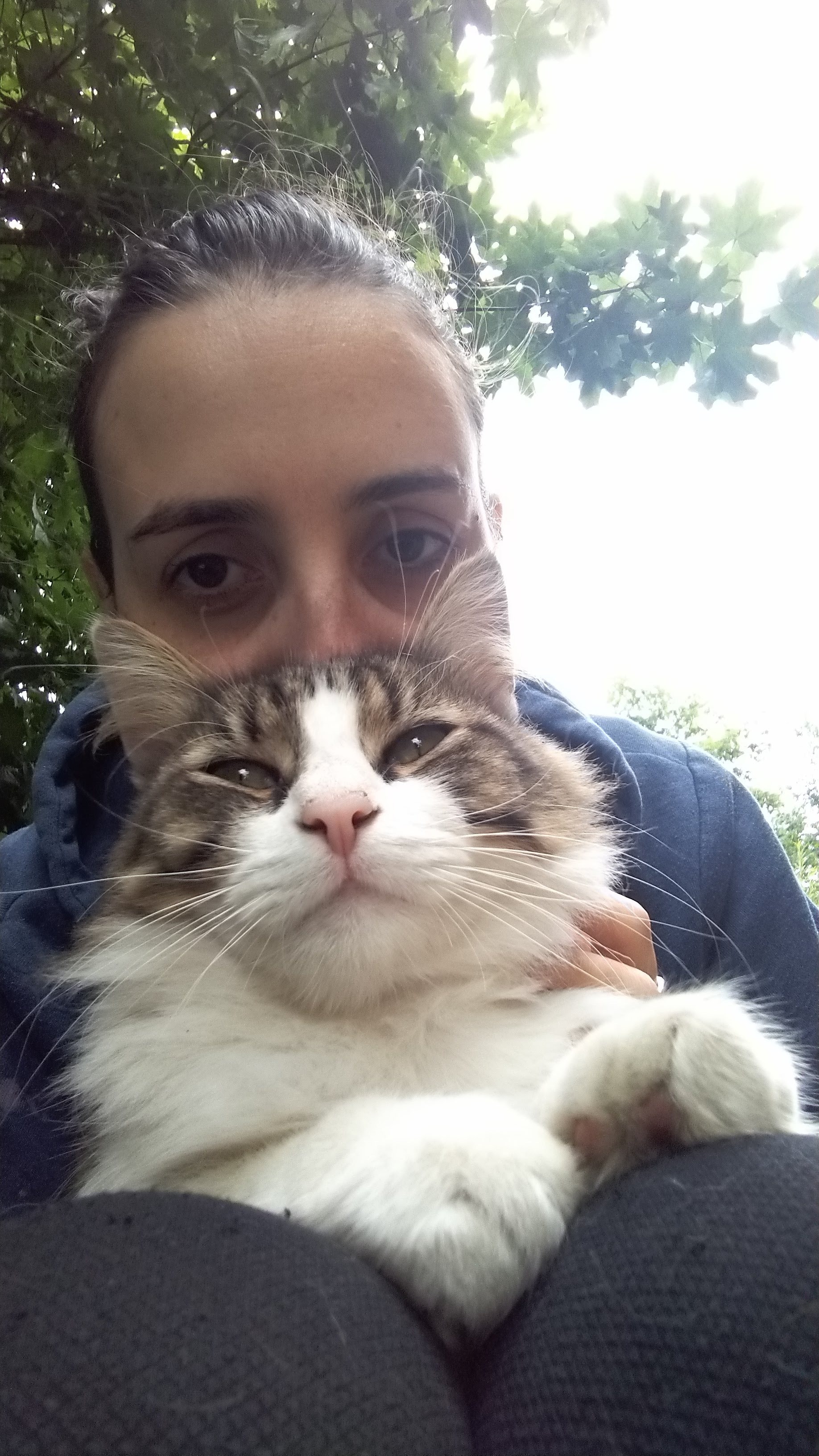 image-7