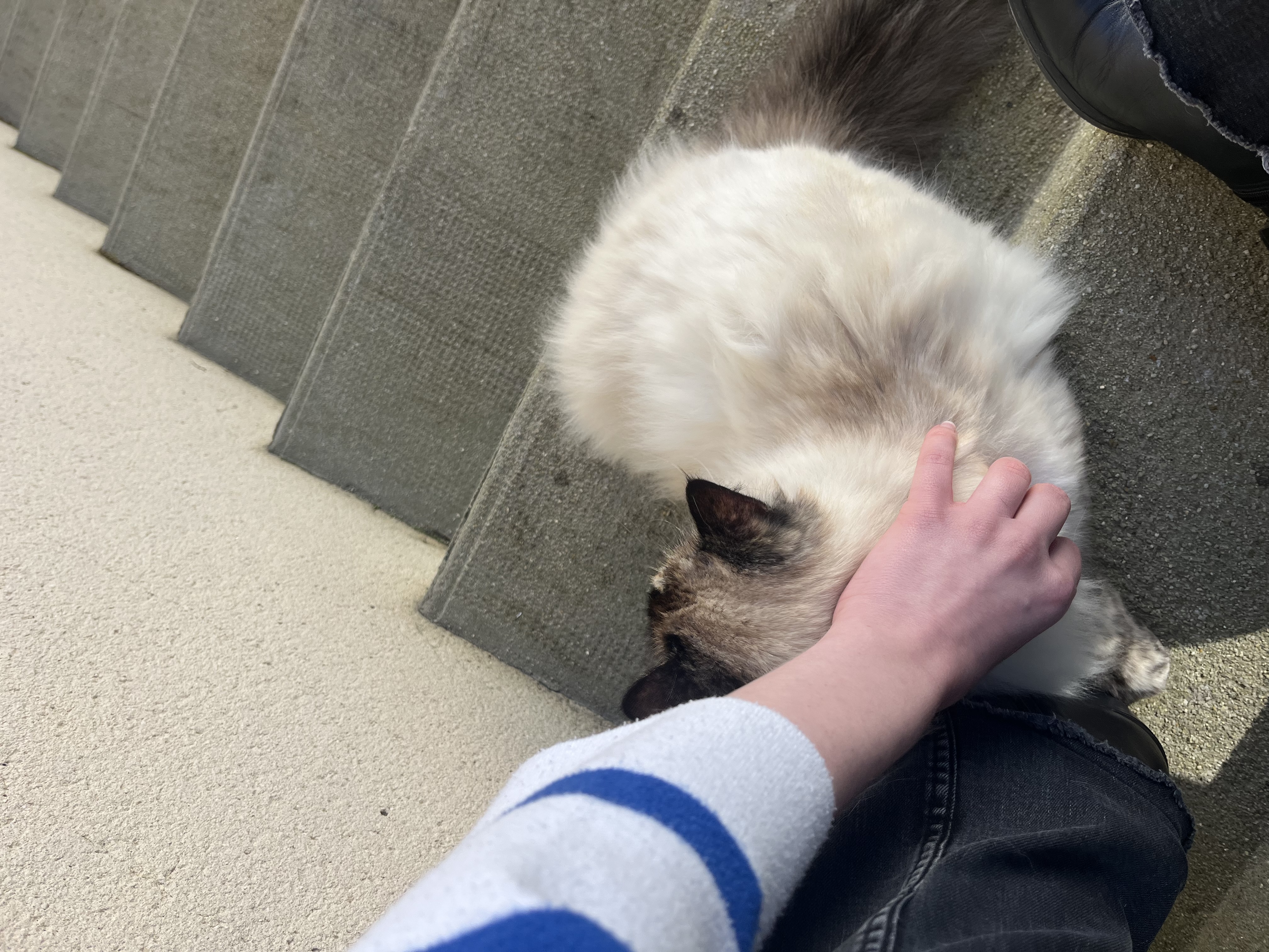 image-11