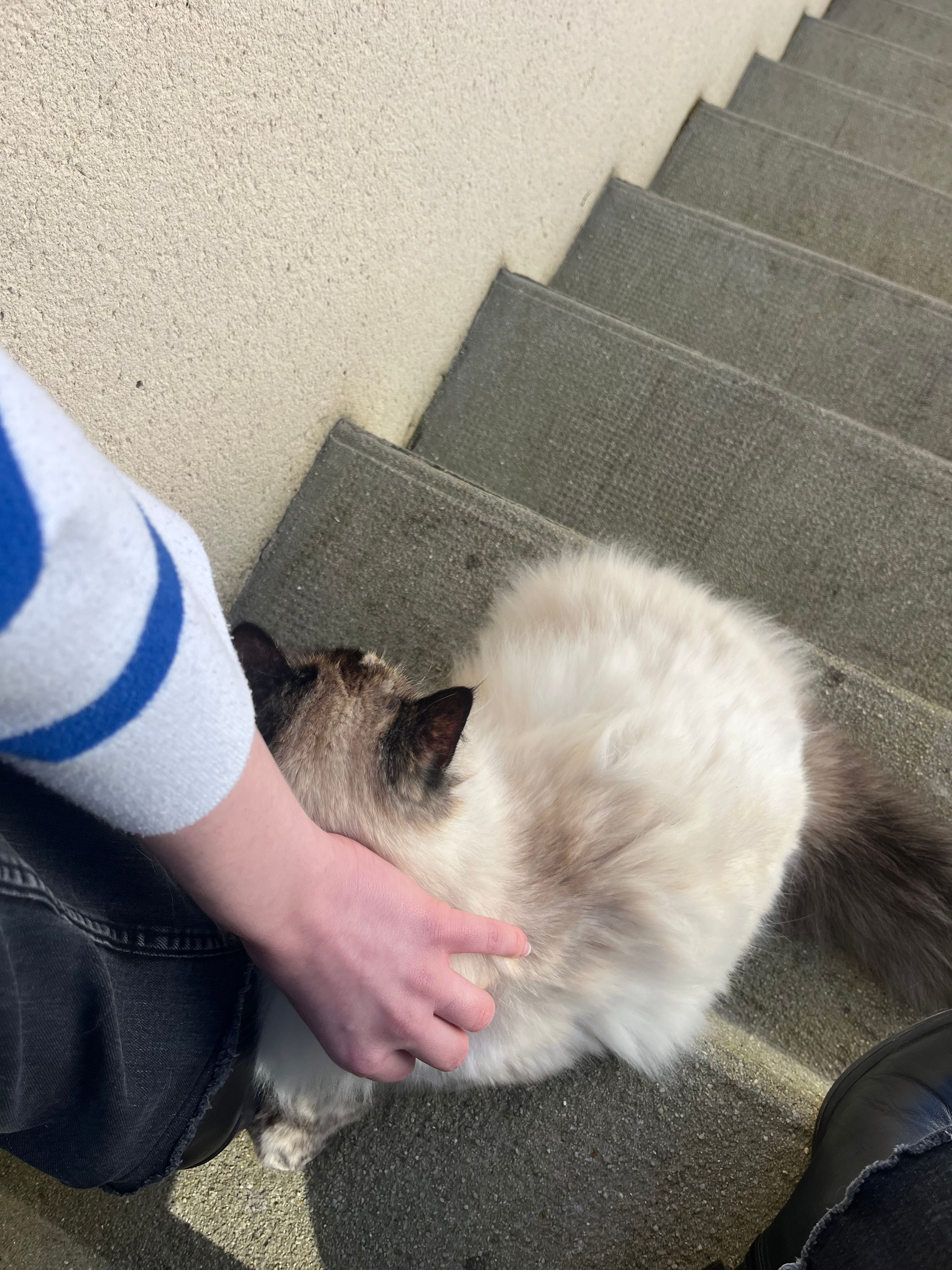 image-11