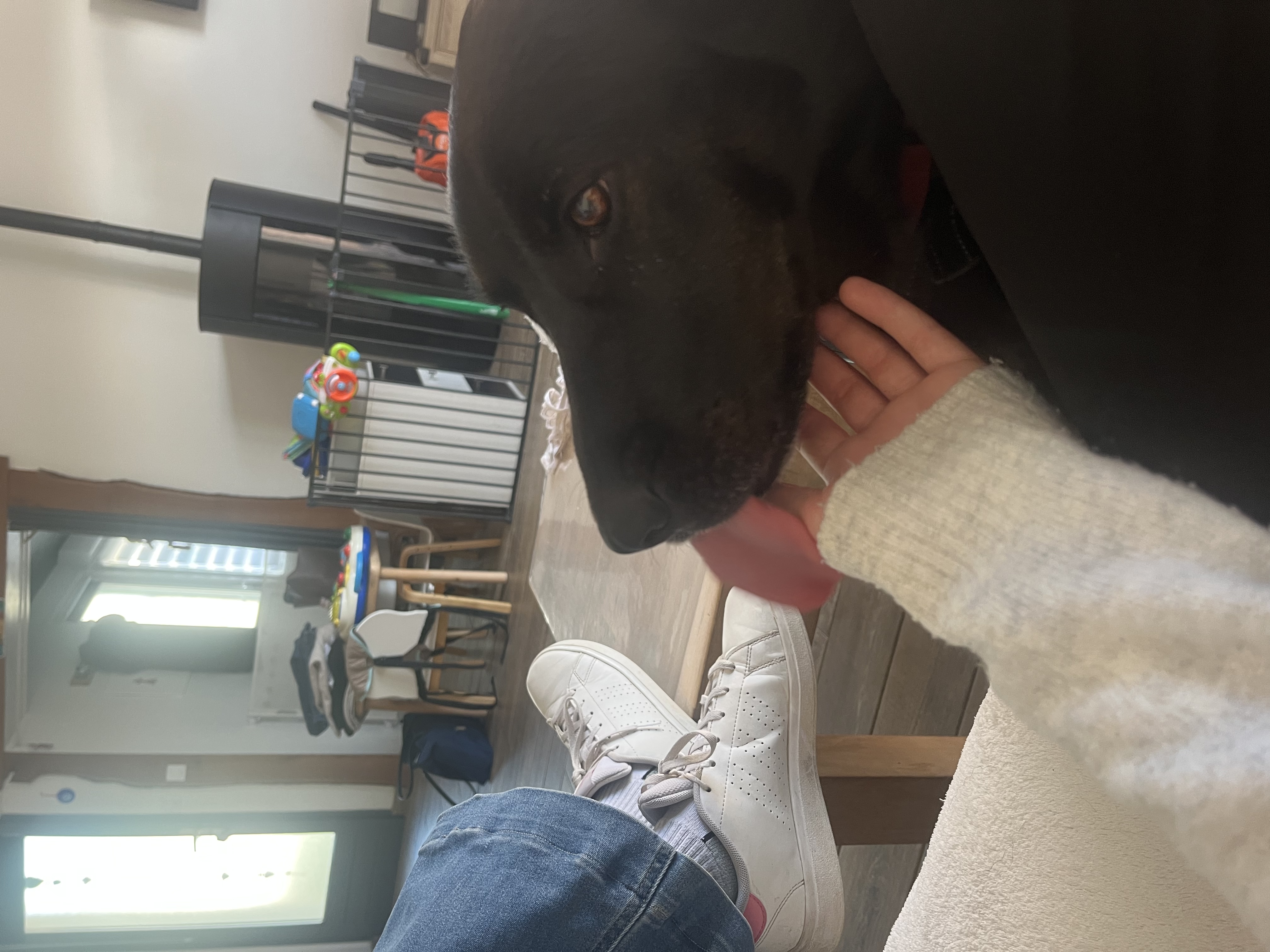 image-8