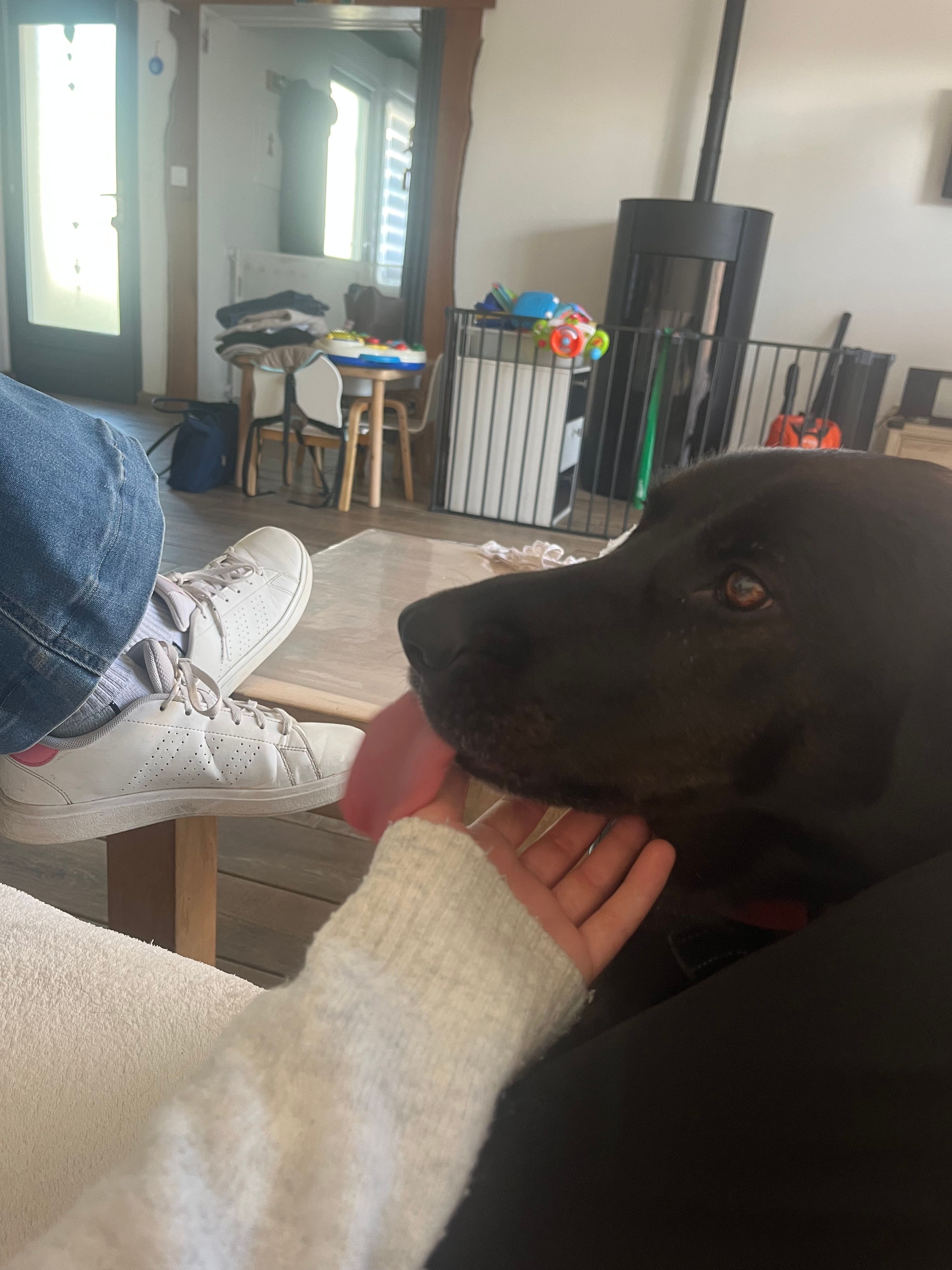 image-8