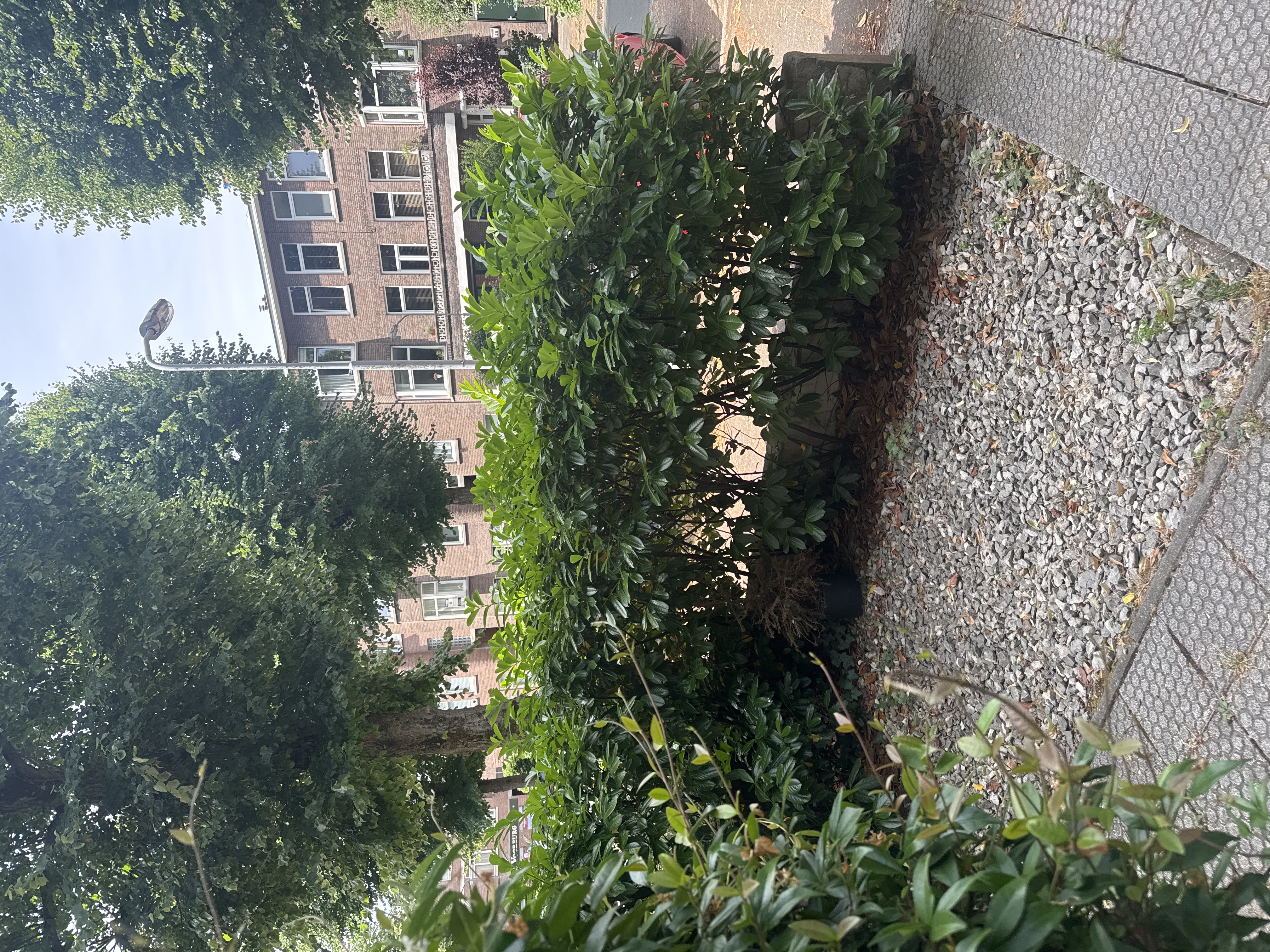 image-15