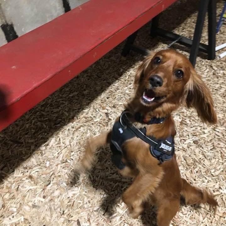 Leo