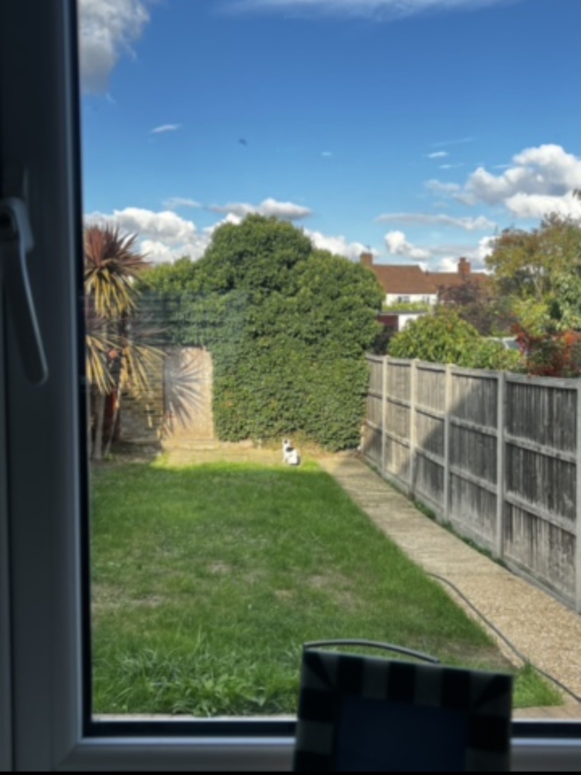 image-10