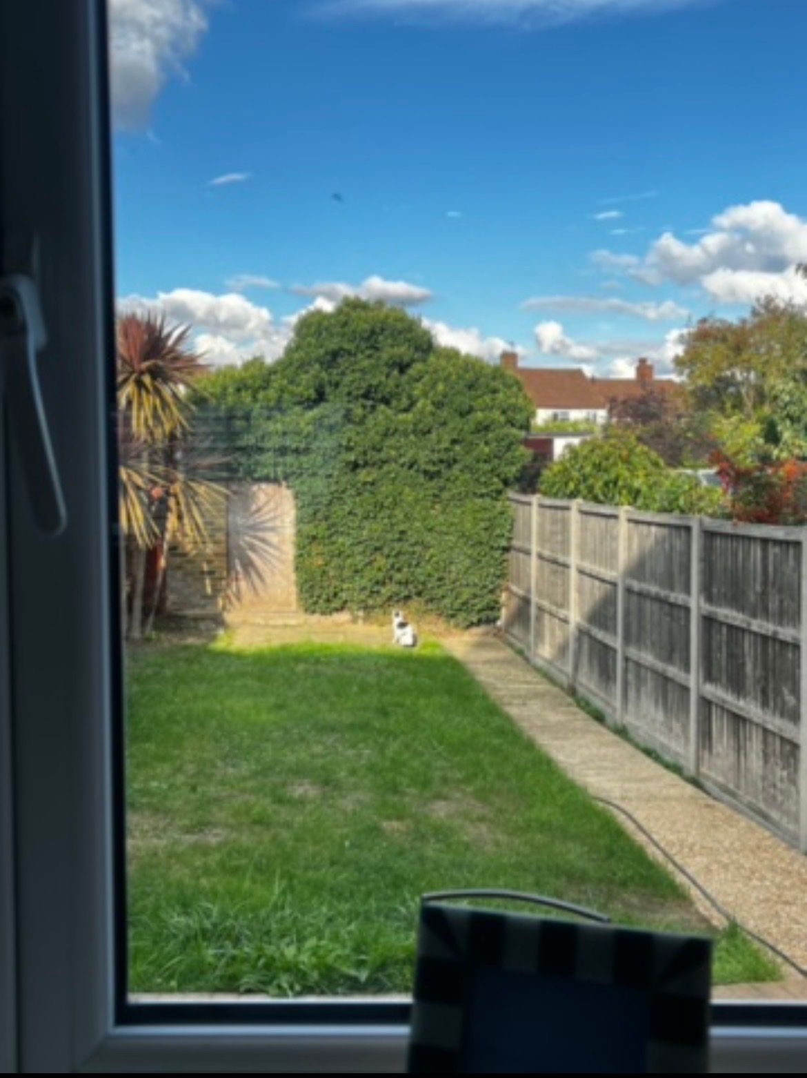 image-10