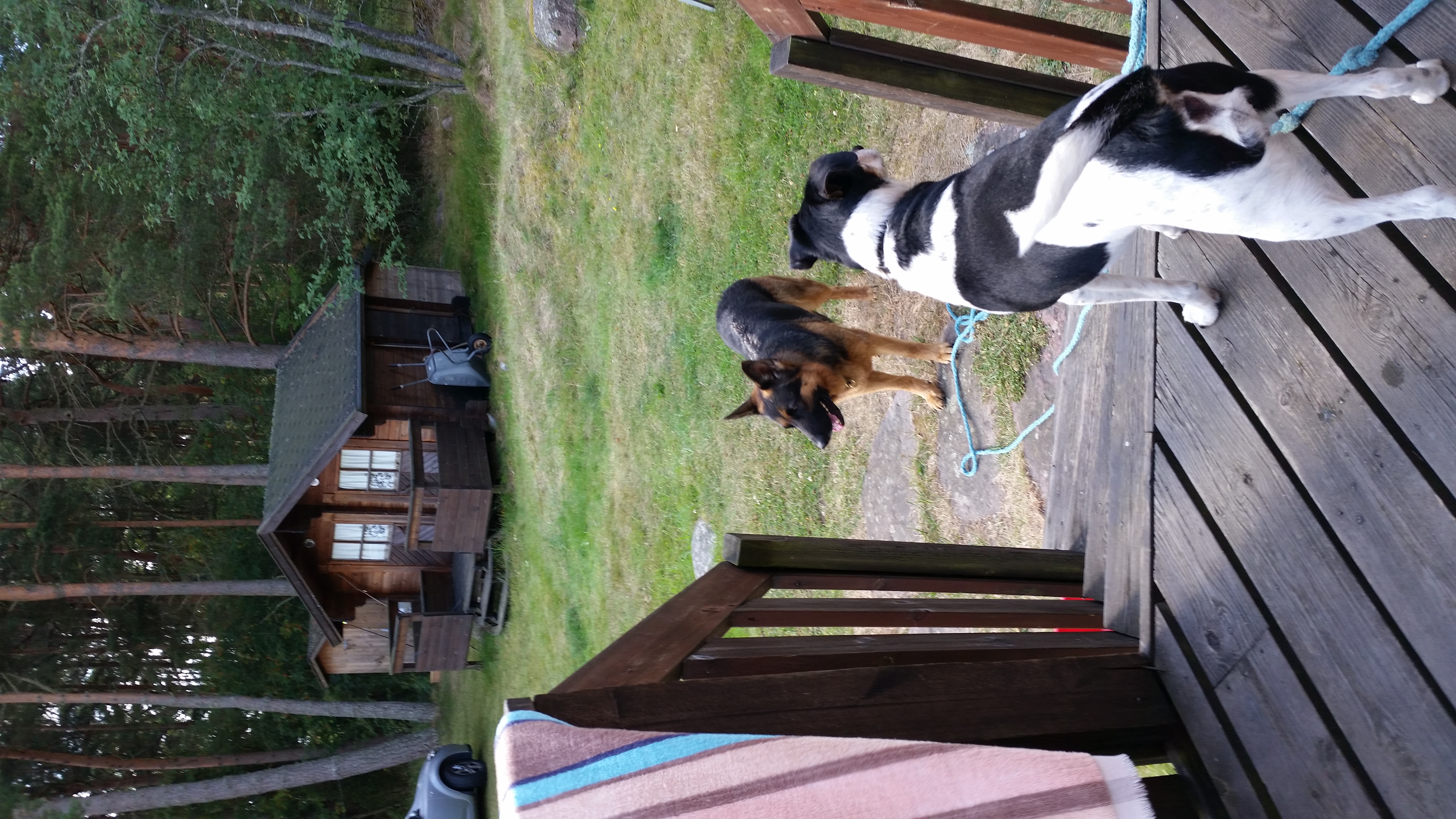 image-5