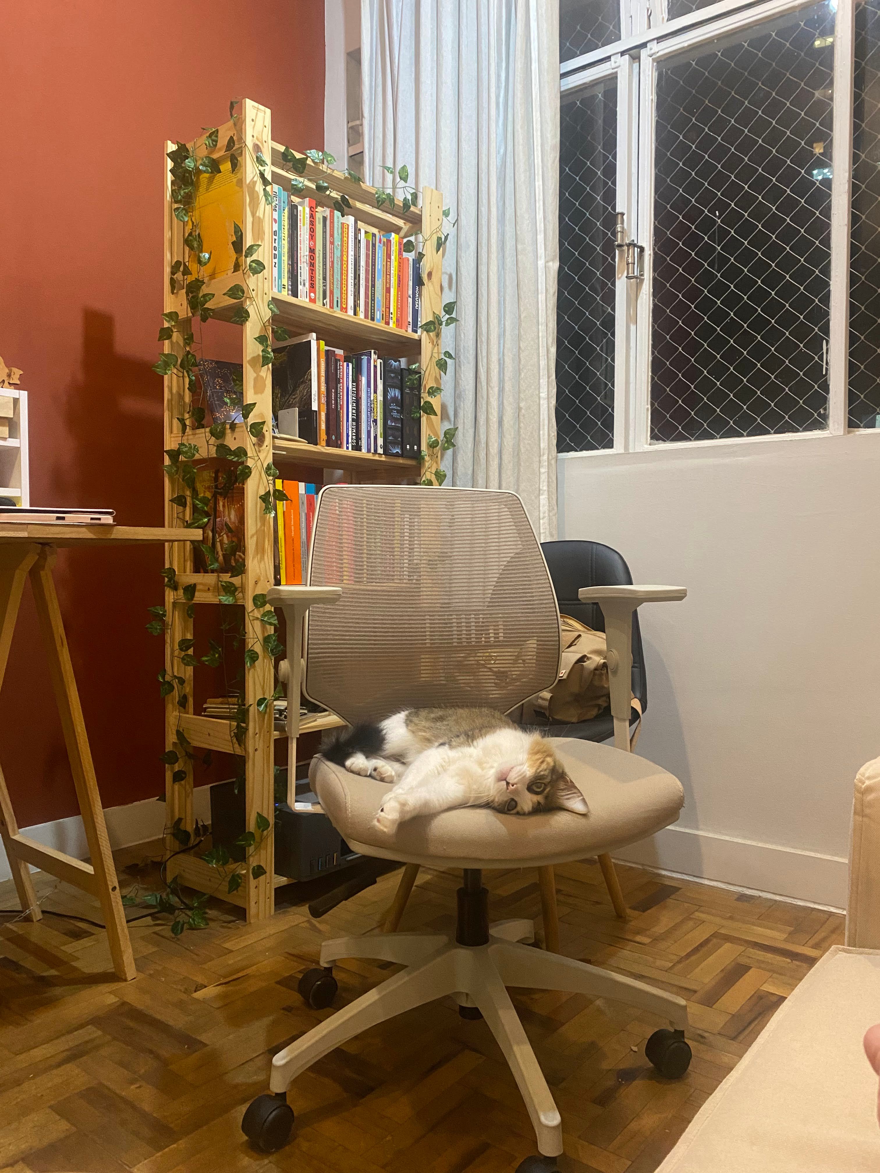 image-8