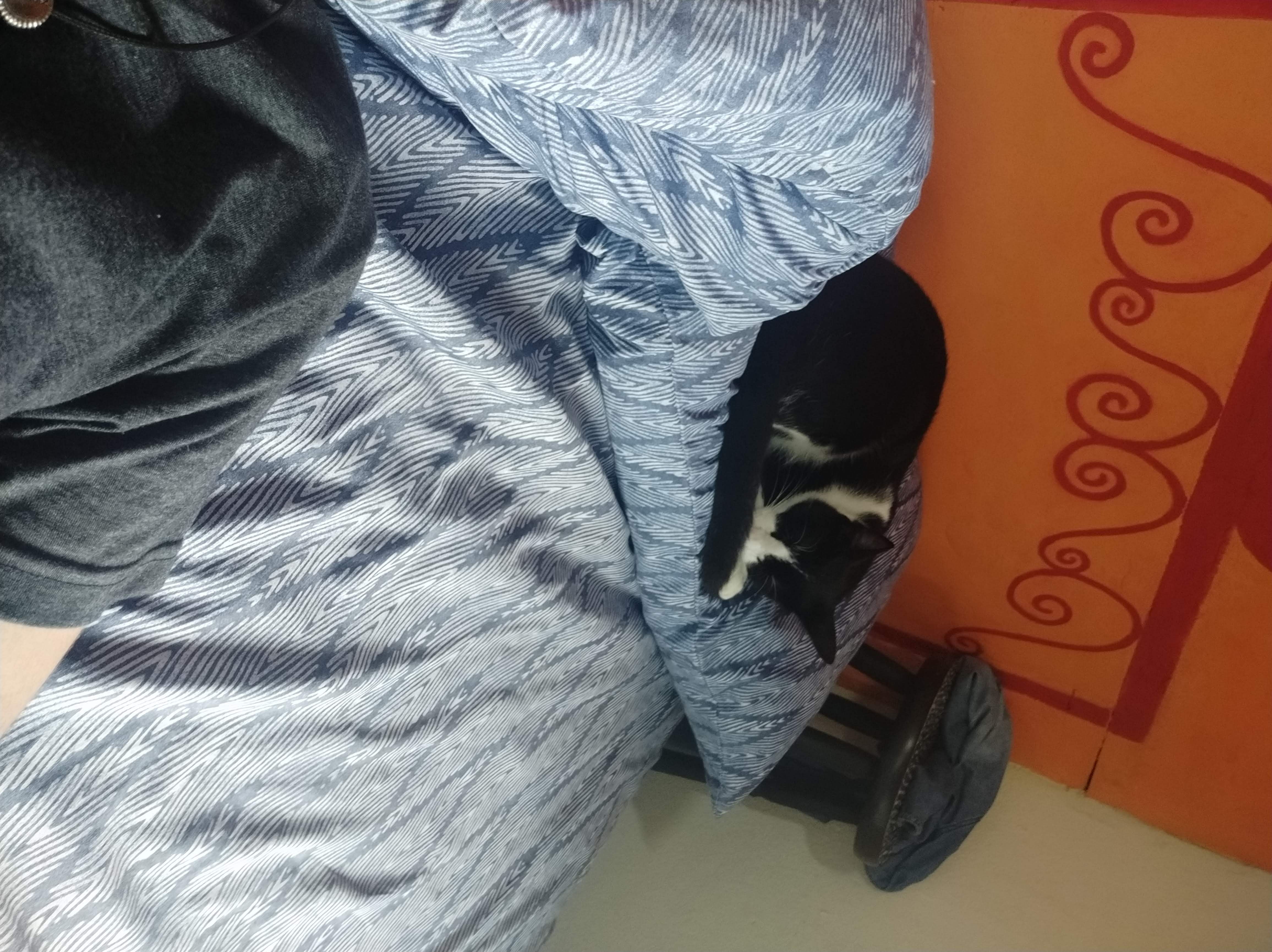 image-4
