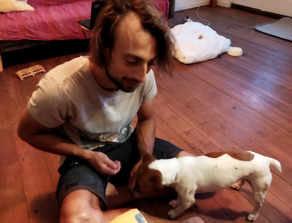 image-8