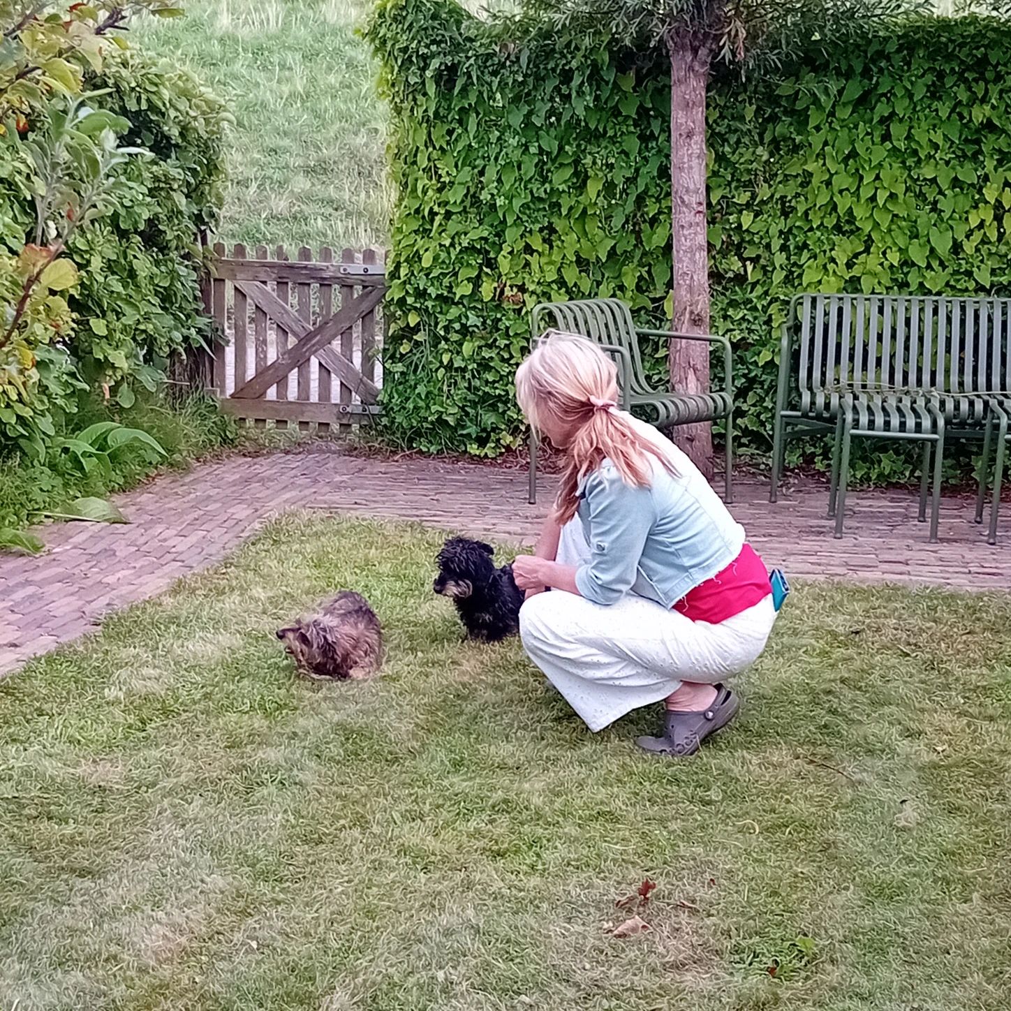 image-5