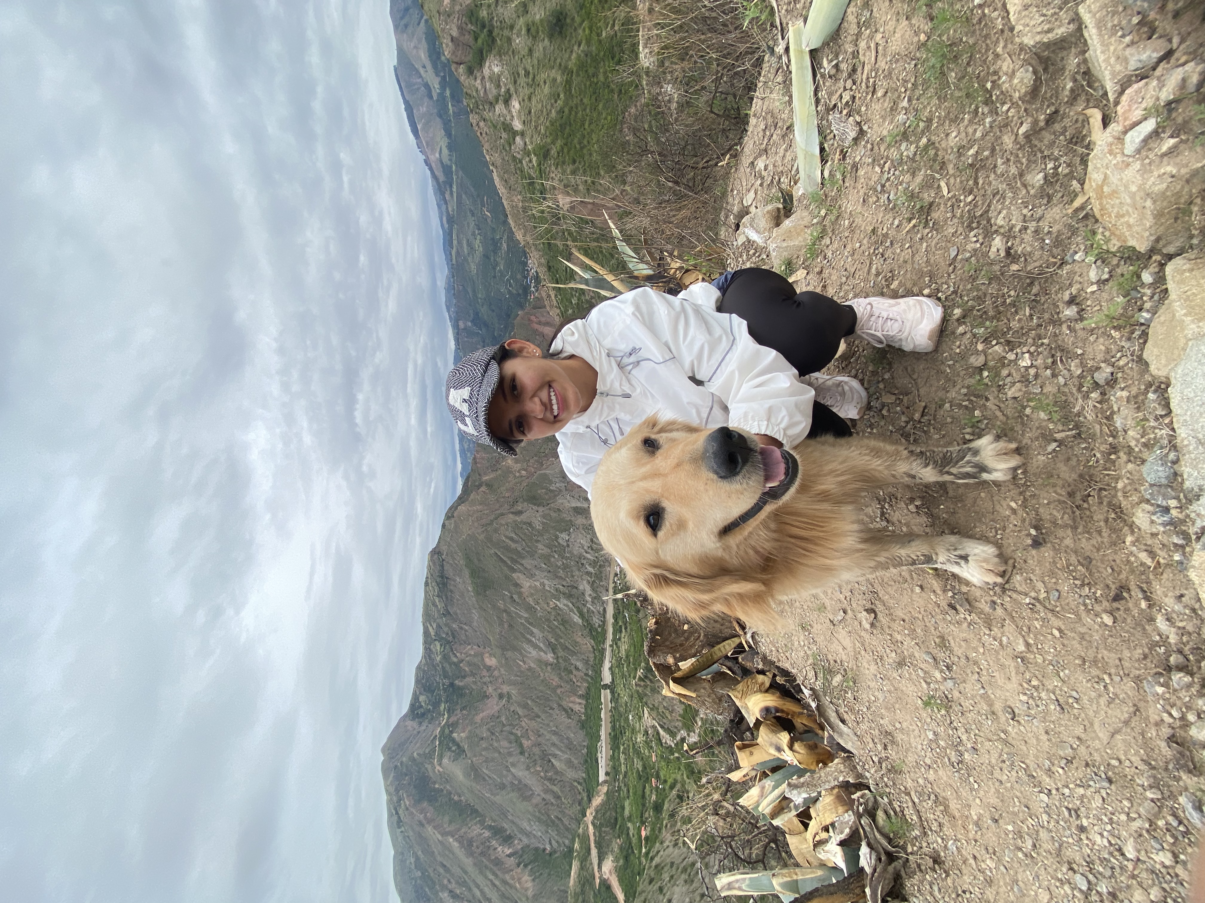 image-4