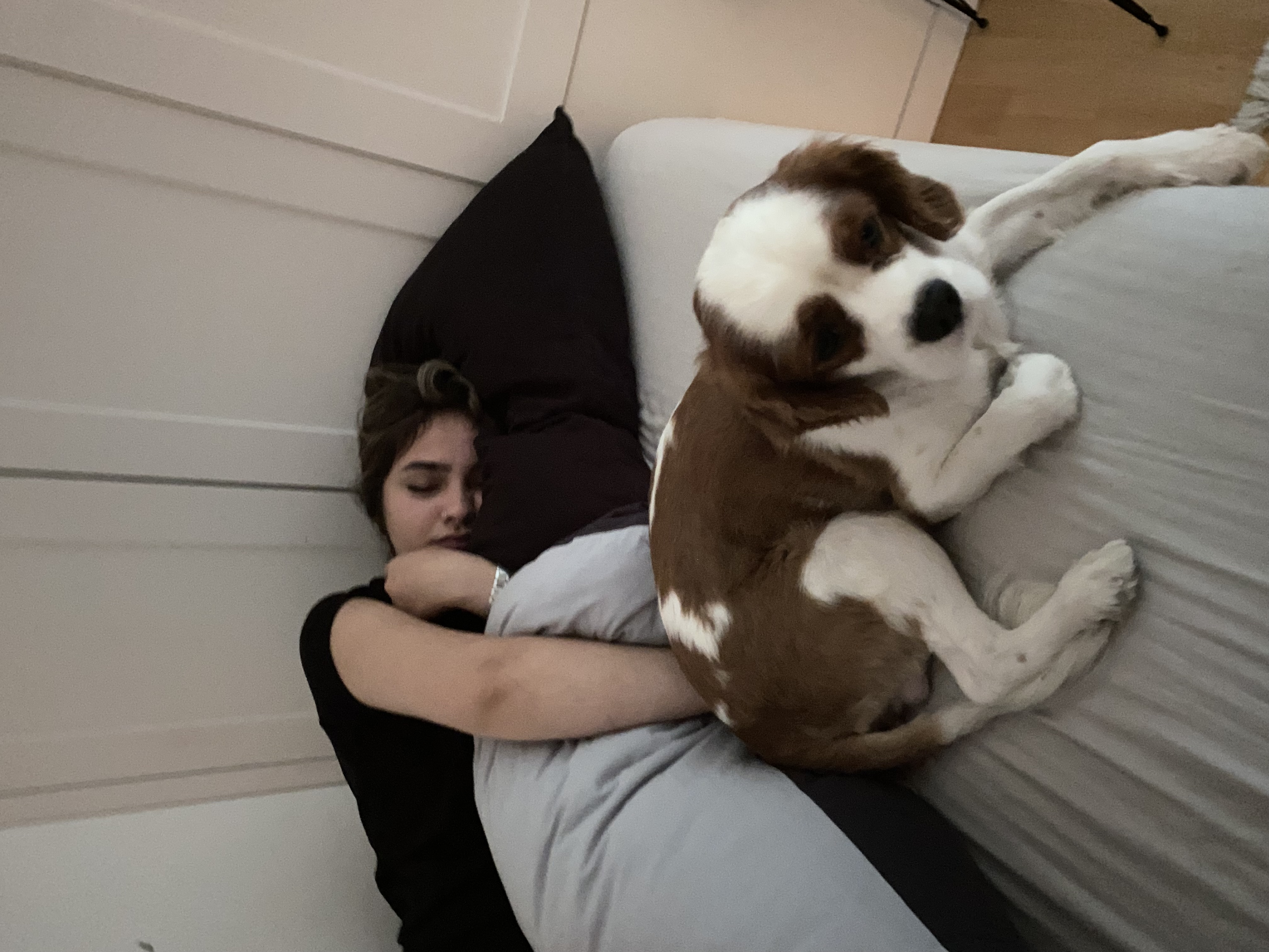 image-5