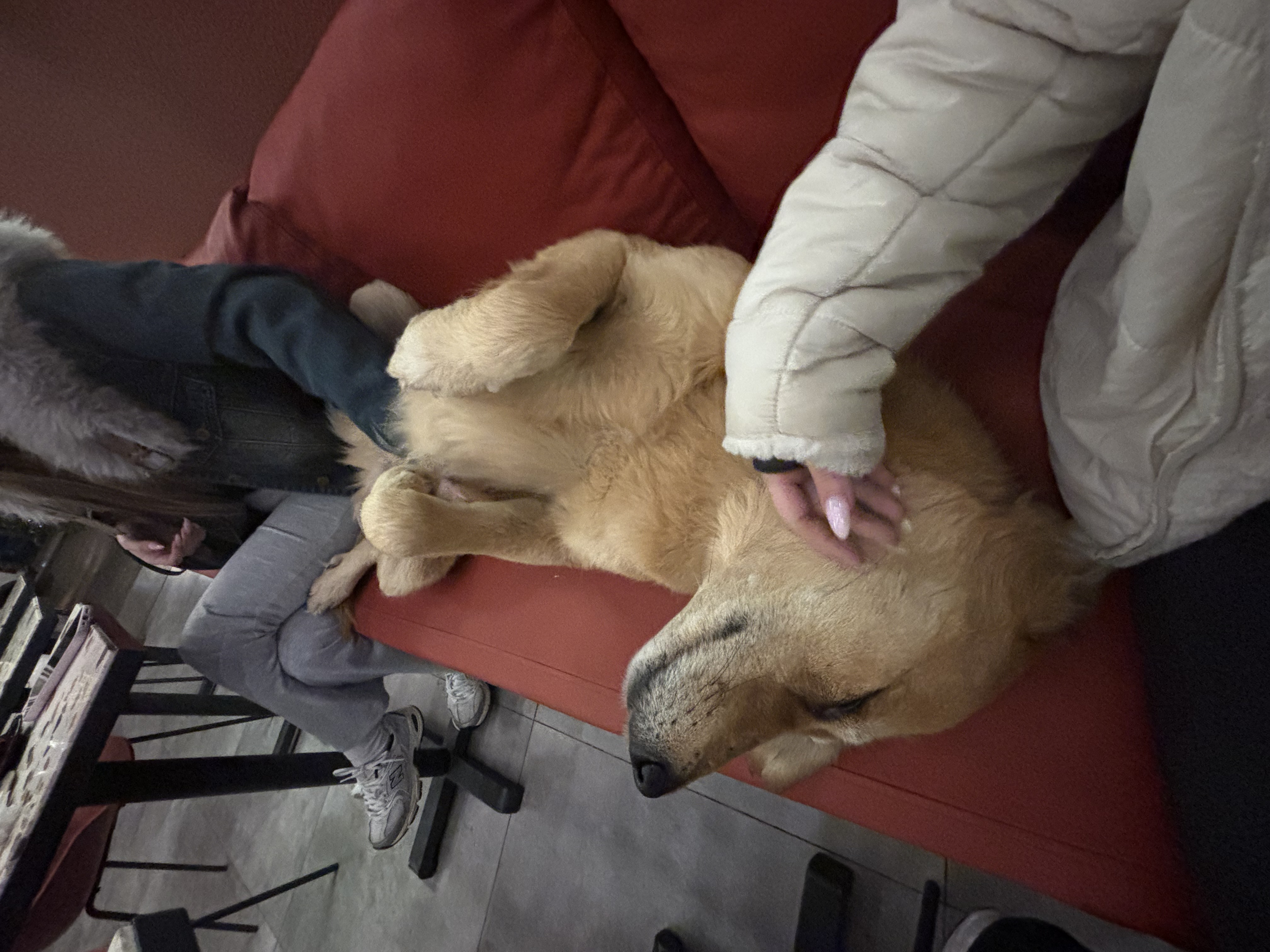image-11