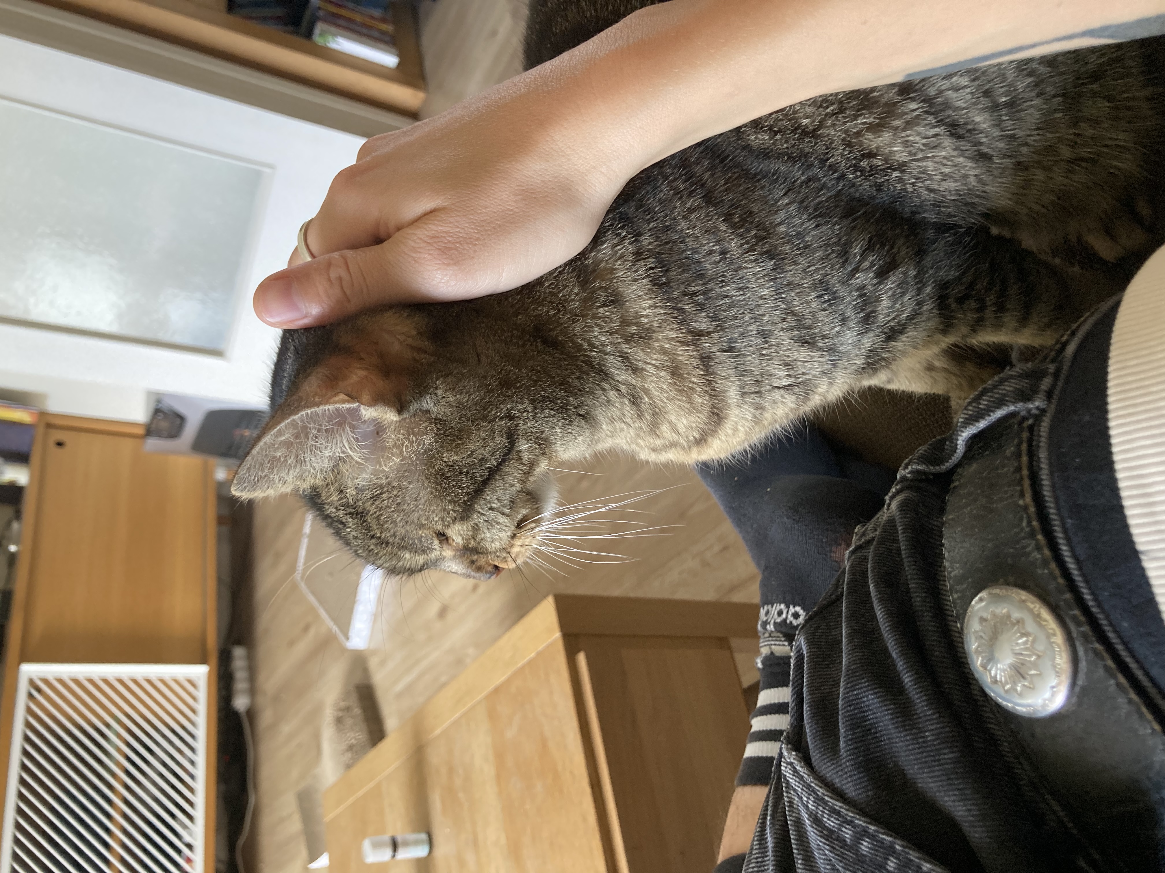 image-7