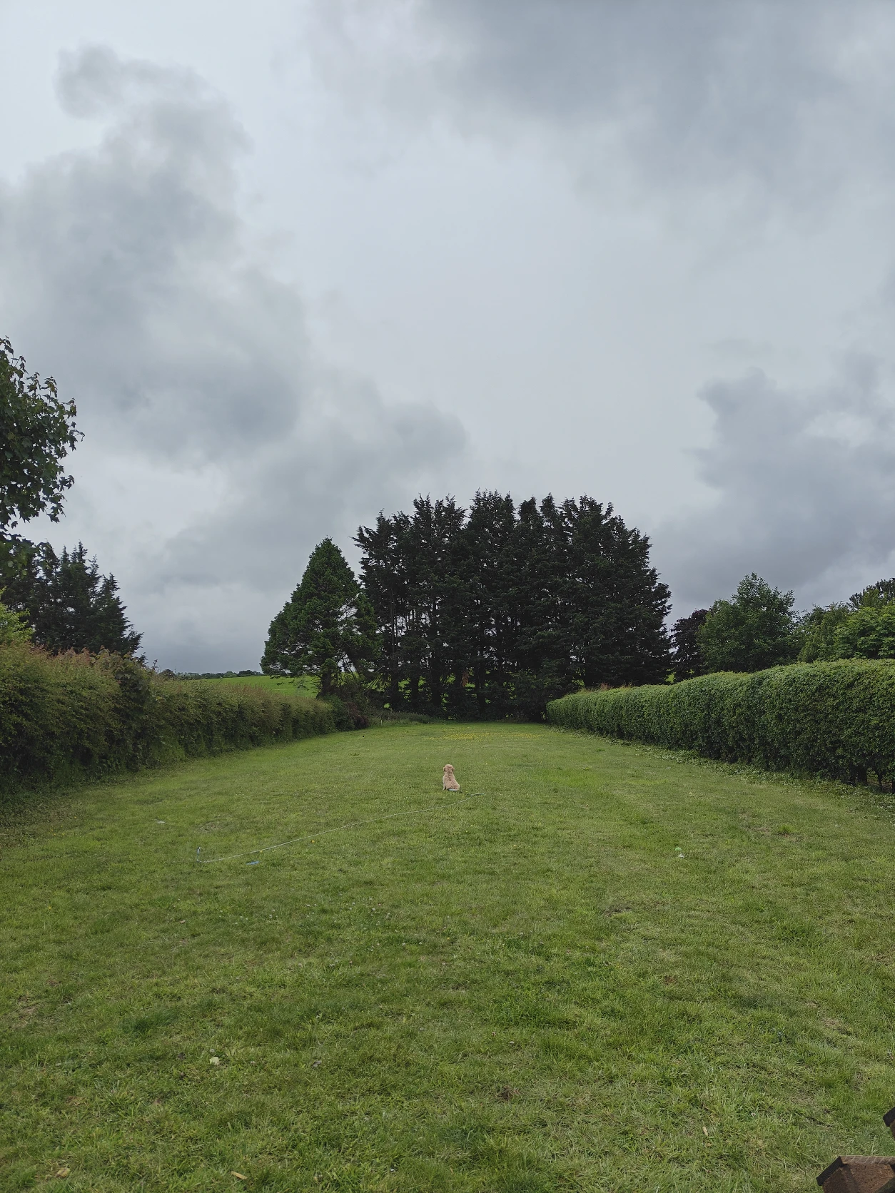 image-23