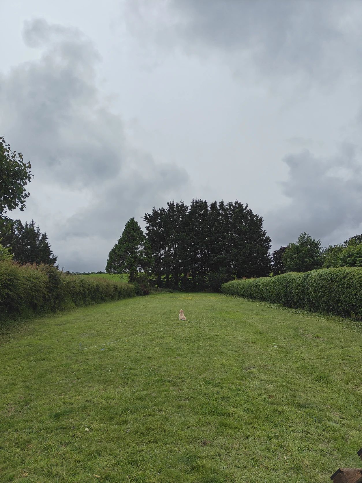 image-23