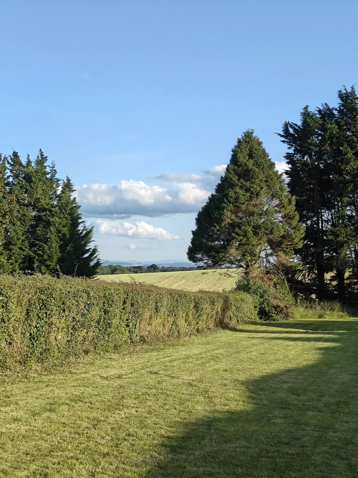 image-28