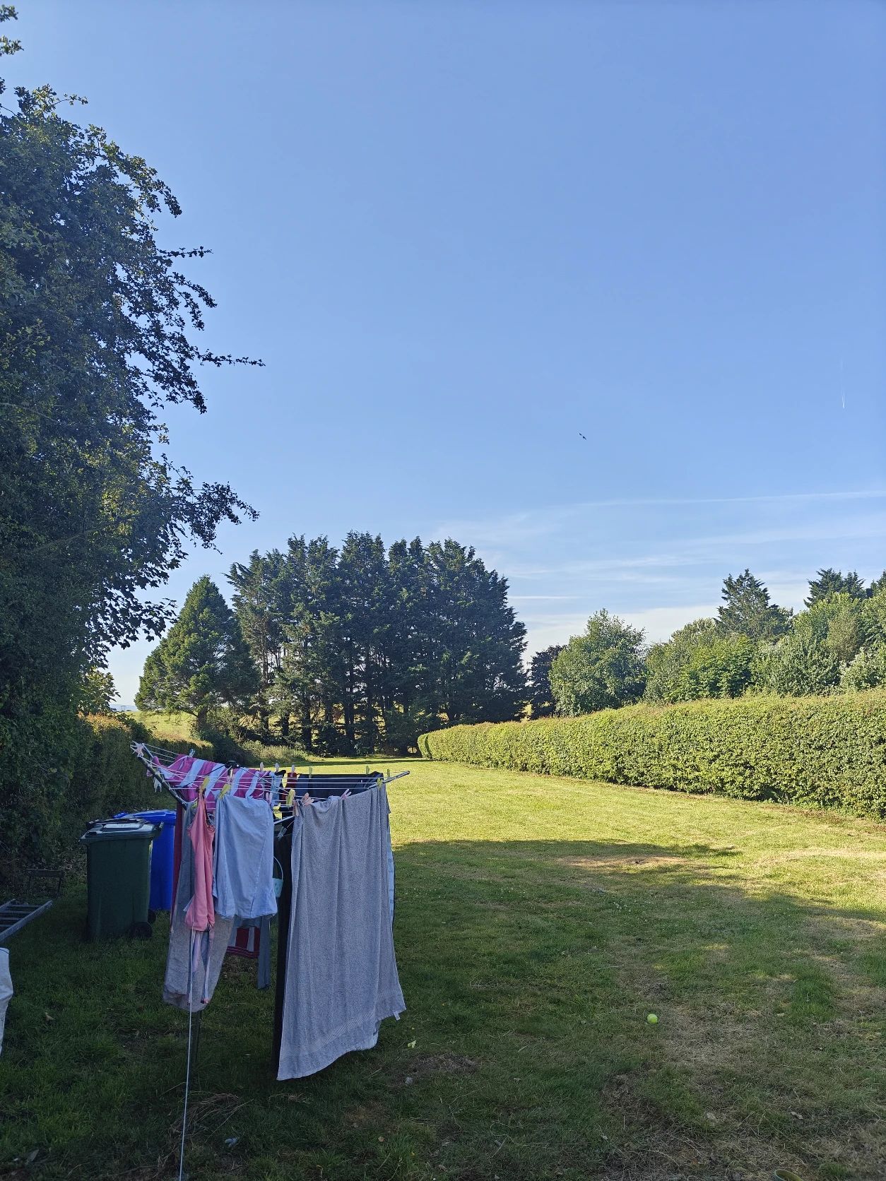 image-27