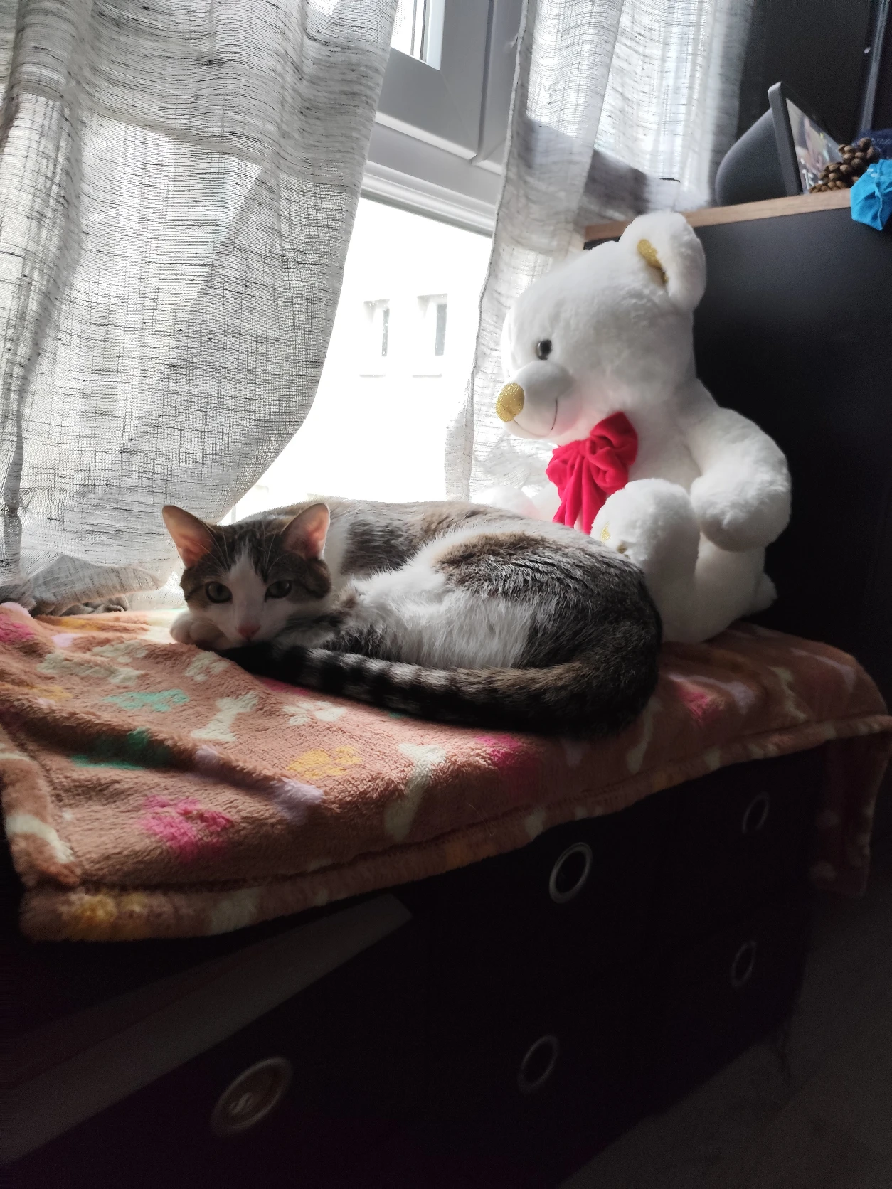 image-12