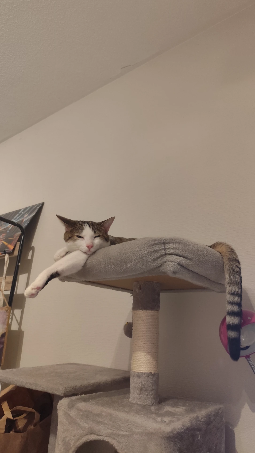 image-16