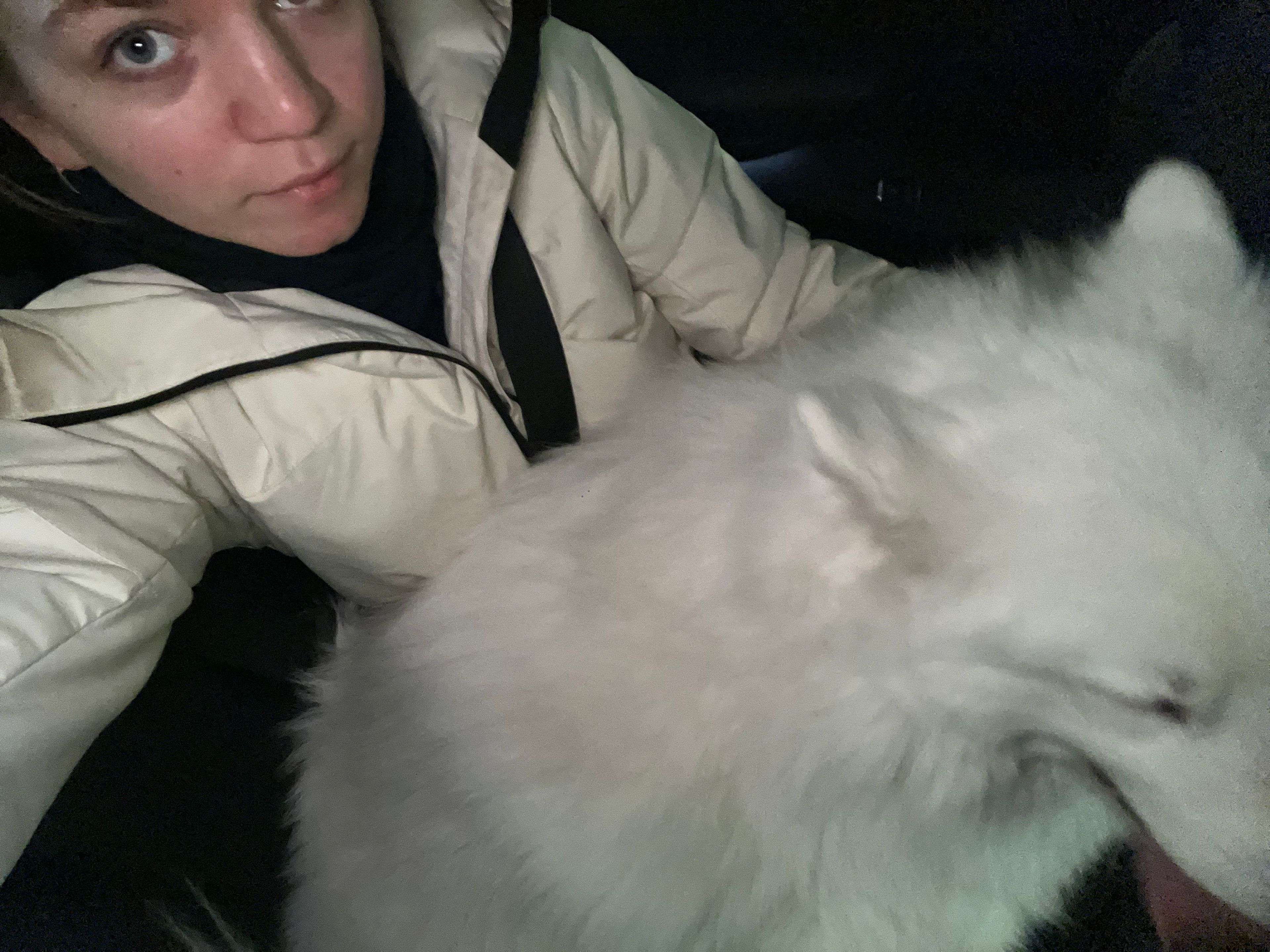 image-6