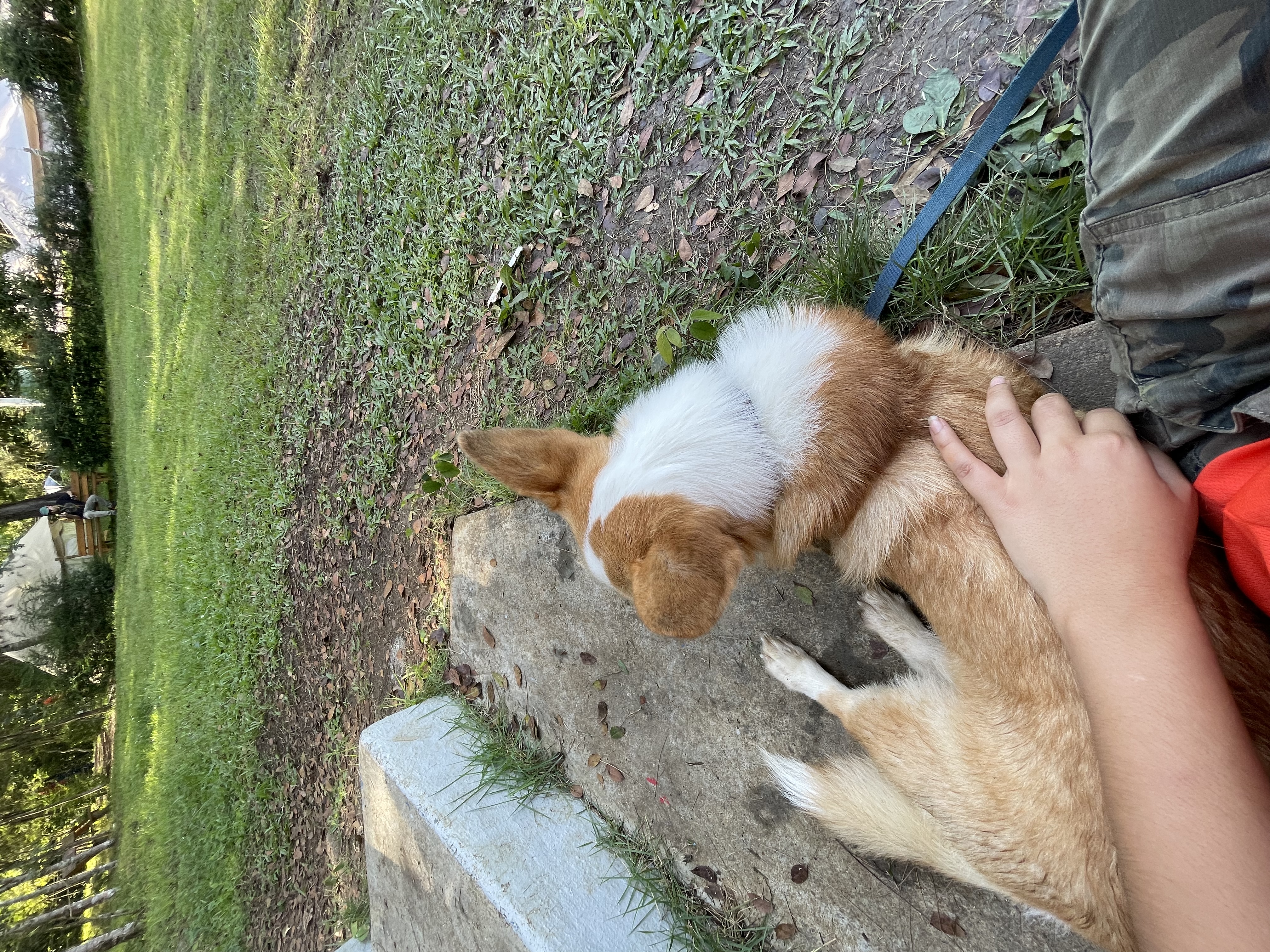 image-10