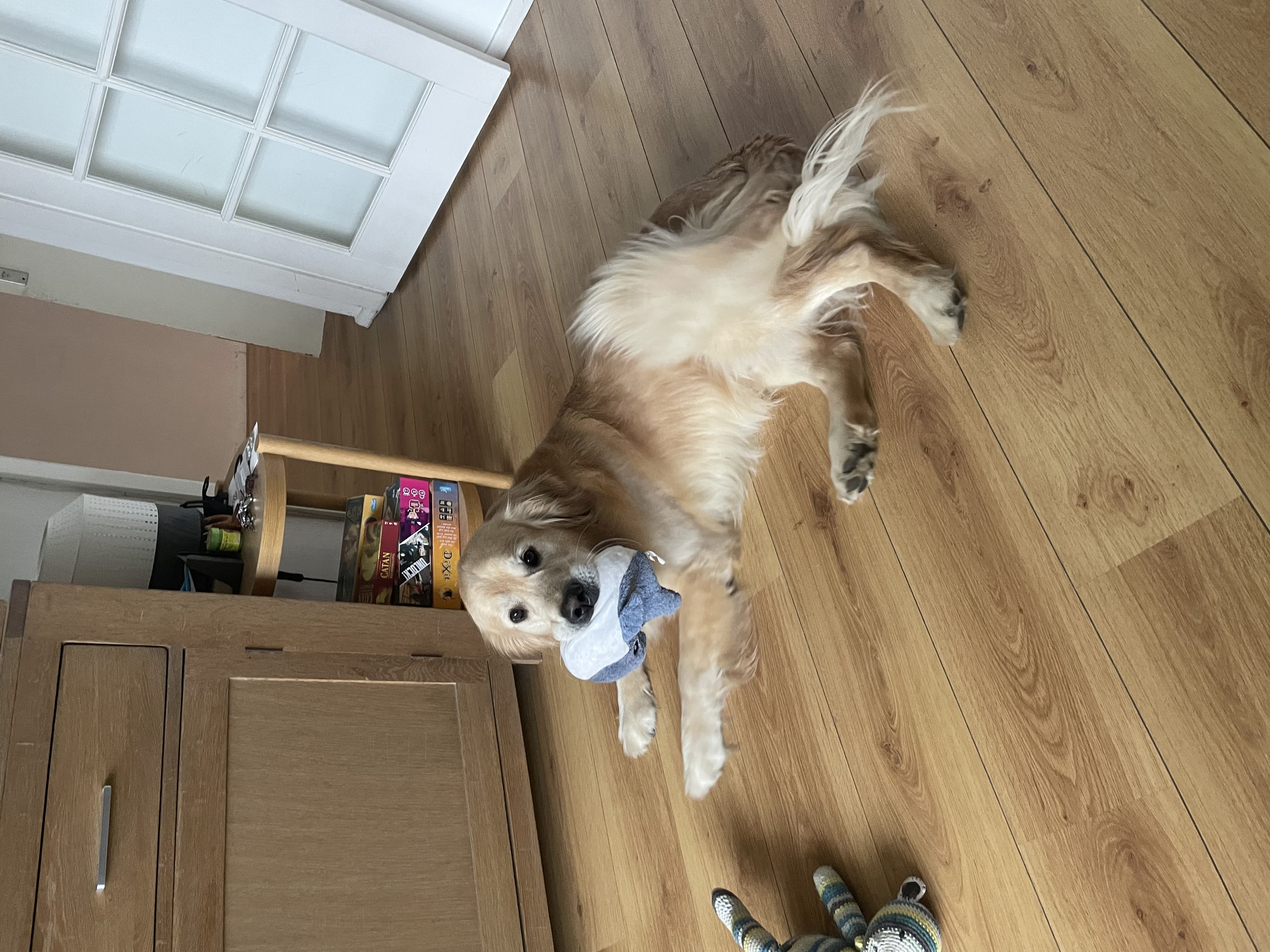 image-10